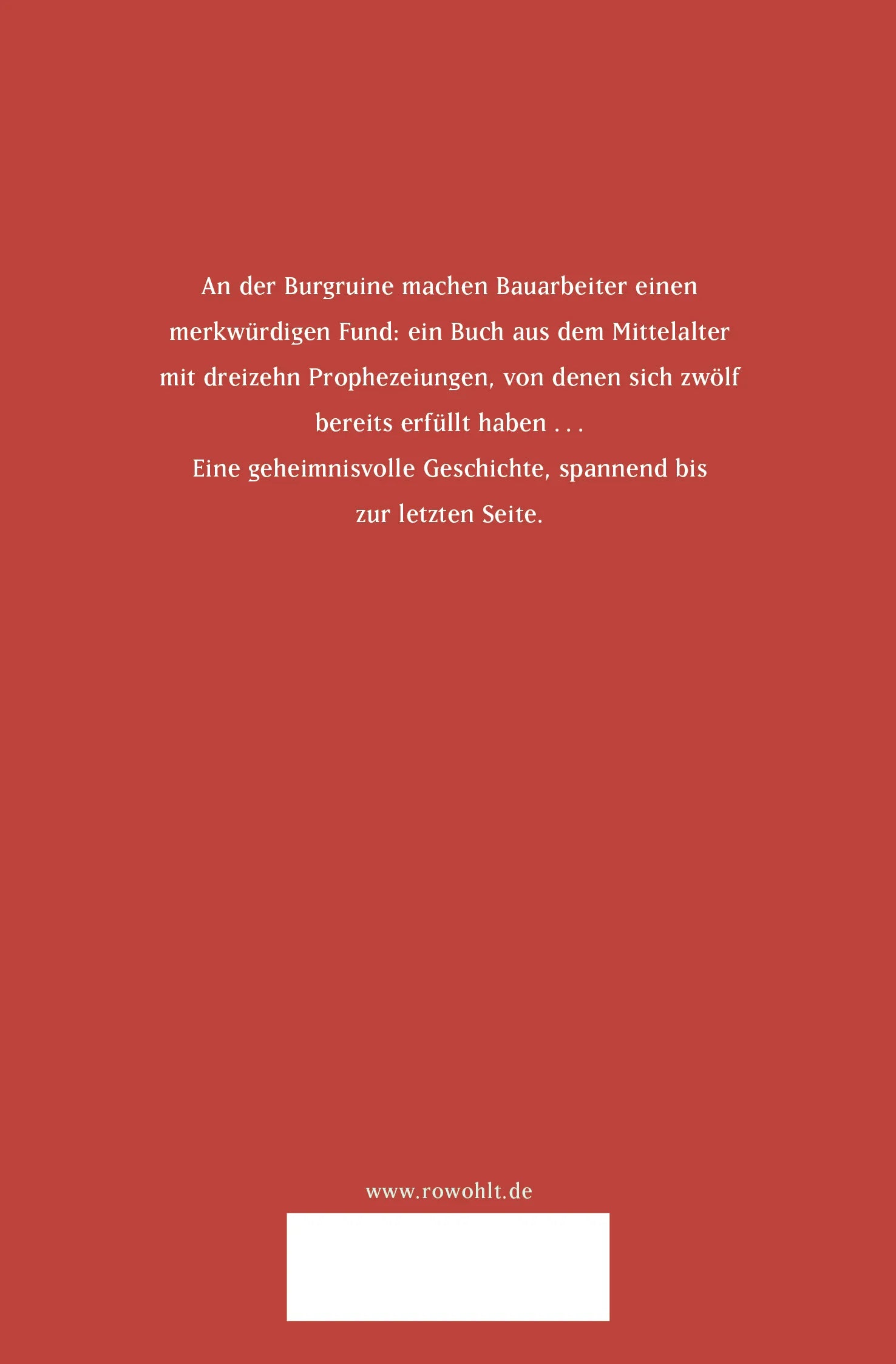 Buchrückseite von 'Die 13. Prophezeiung' mit Klappentext - Taschenbuch