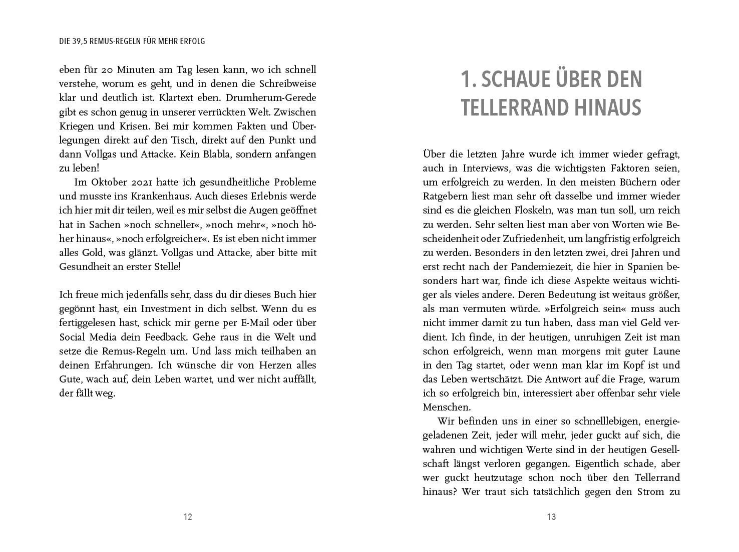 Innenansicht von 'Die 39,5 Remus-Regeln für mehr Erfolg' - Taschenbuch
