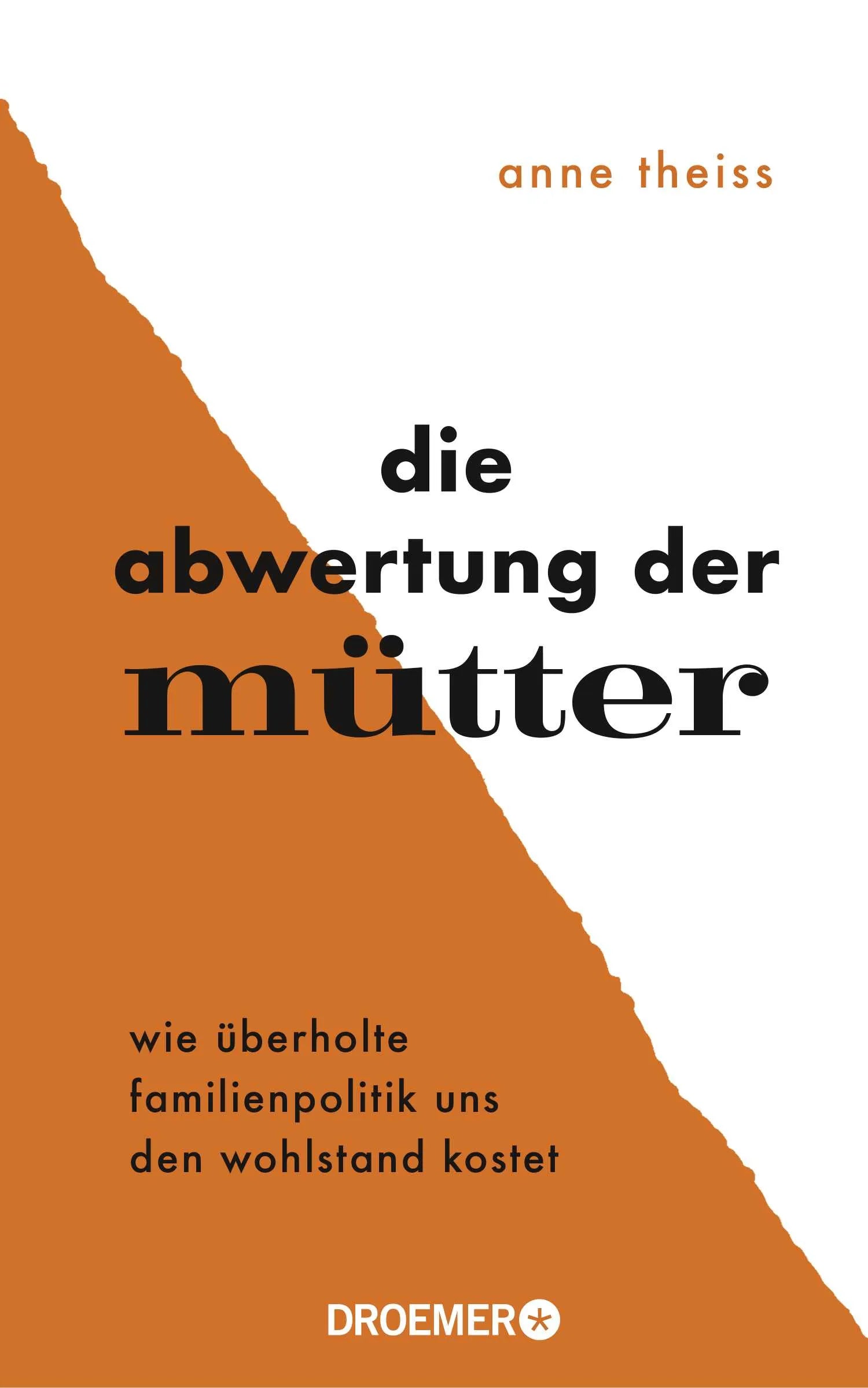 Buchcover von 'Die Abwertung der Mütter' - Gebundene Ausgabe von Anne Theiss