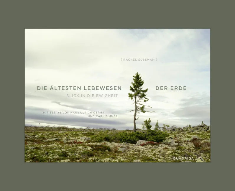 Buchcover von 'Die ältesten Lebewesen der Erde' - Gebundene Ausgabe von Rachel Sussman