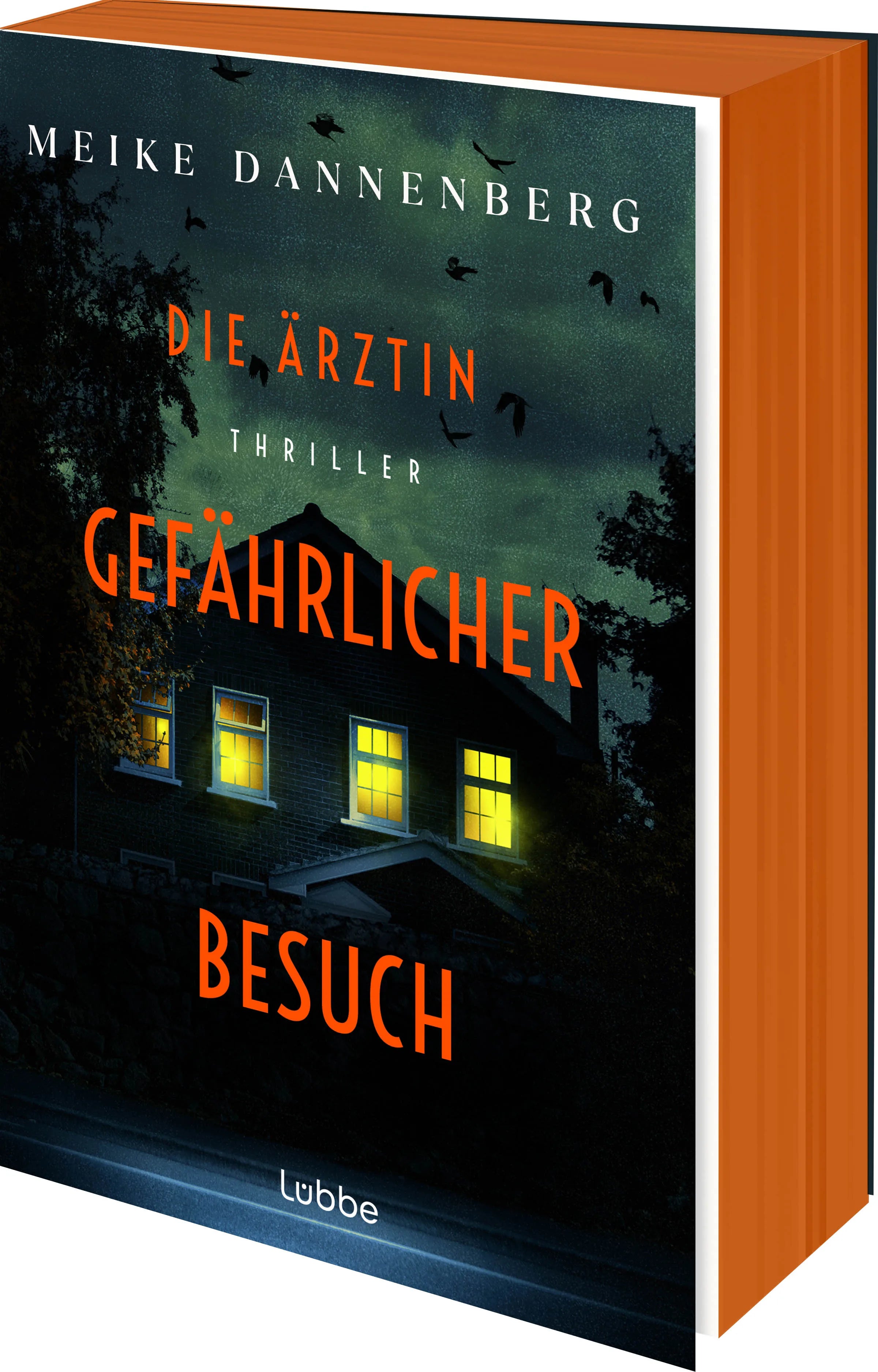 Buchcover von 'Die Ärztin – Gefährlicher Besuch' - Taschenbuch von Meike Dannenberg