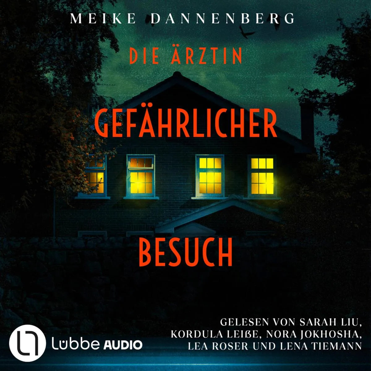 Cover: Die Ärztin - Gefährlicher Besuch (Hörbuch Download) von Meike Dannenberg