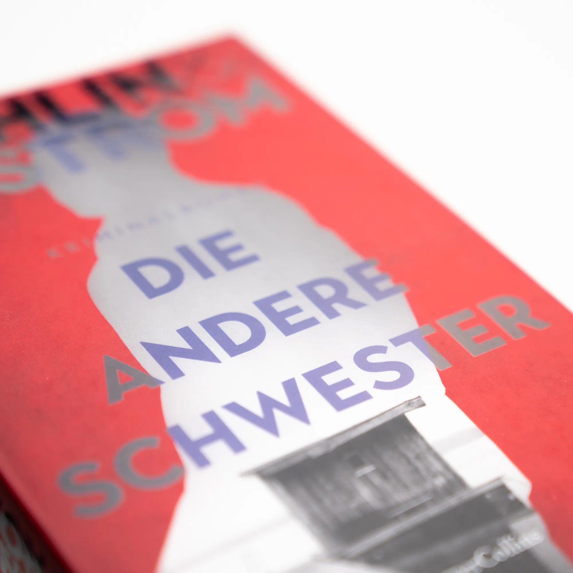 Produktansicht: Die andere Schwester (Taschenbuch)