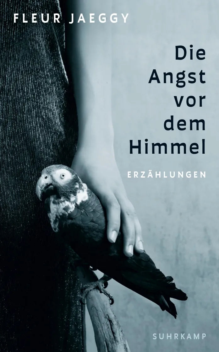 Buchcover von 'Die Angst vor dem Himmel' - Taschenbuch von Fleur Jaeggy