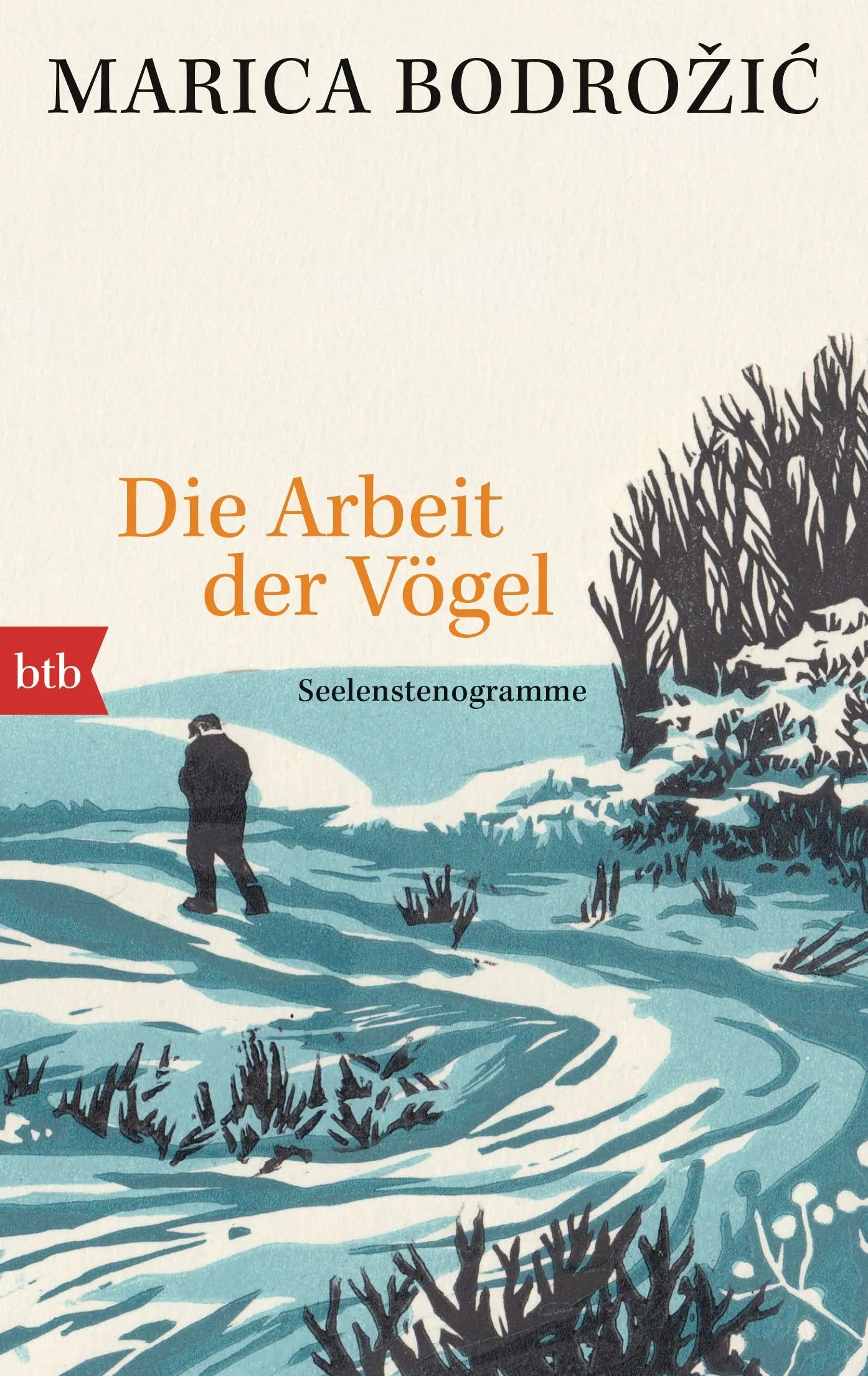 Cover: Die Arbeit der Vögel (Taschenbuch) von Marica Bodrožić