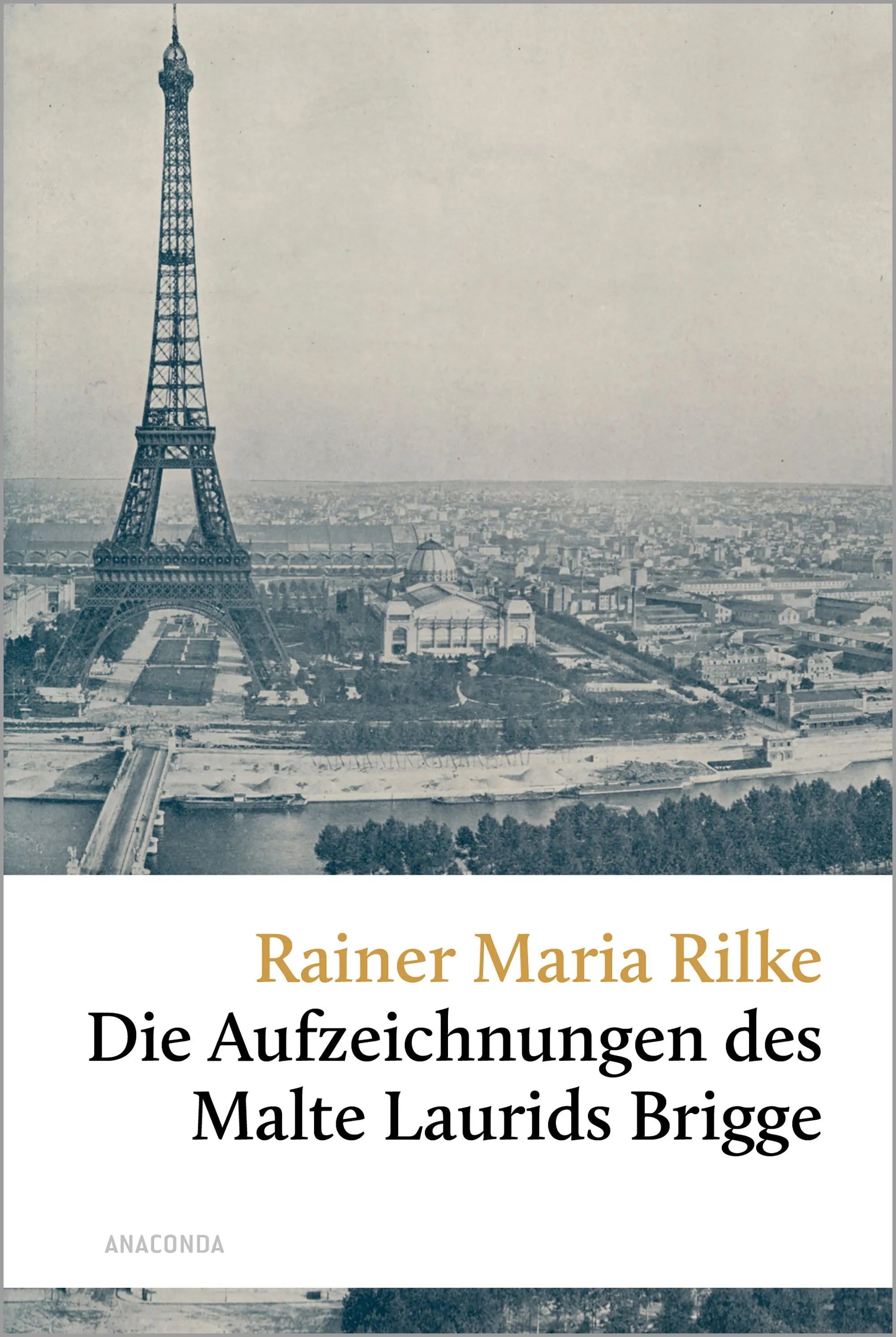 Cover: Die Aufzeichnungen des Malte Laurids Brigge (Hardcover) von Rainer Maria Rilke