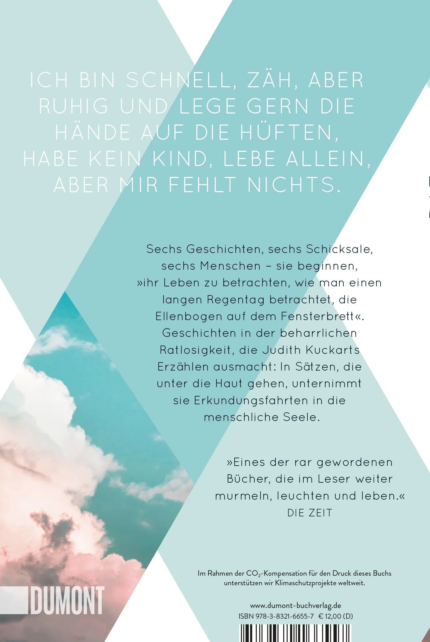 Buchrückseite von 'Die Autorenwitwe' mit Klappentext - Taschenbuch