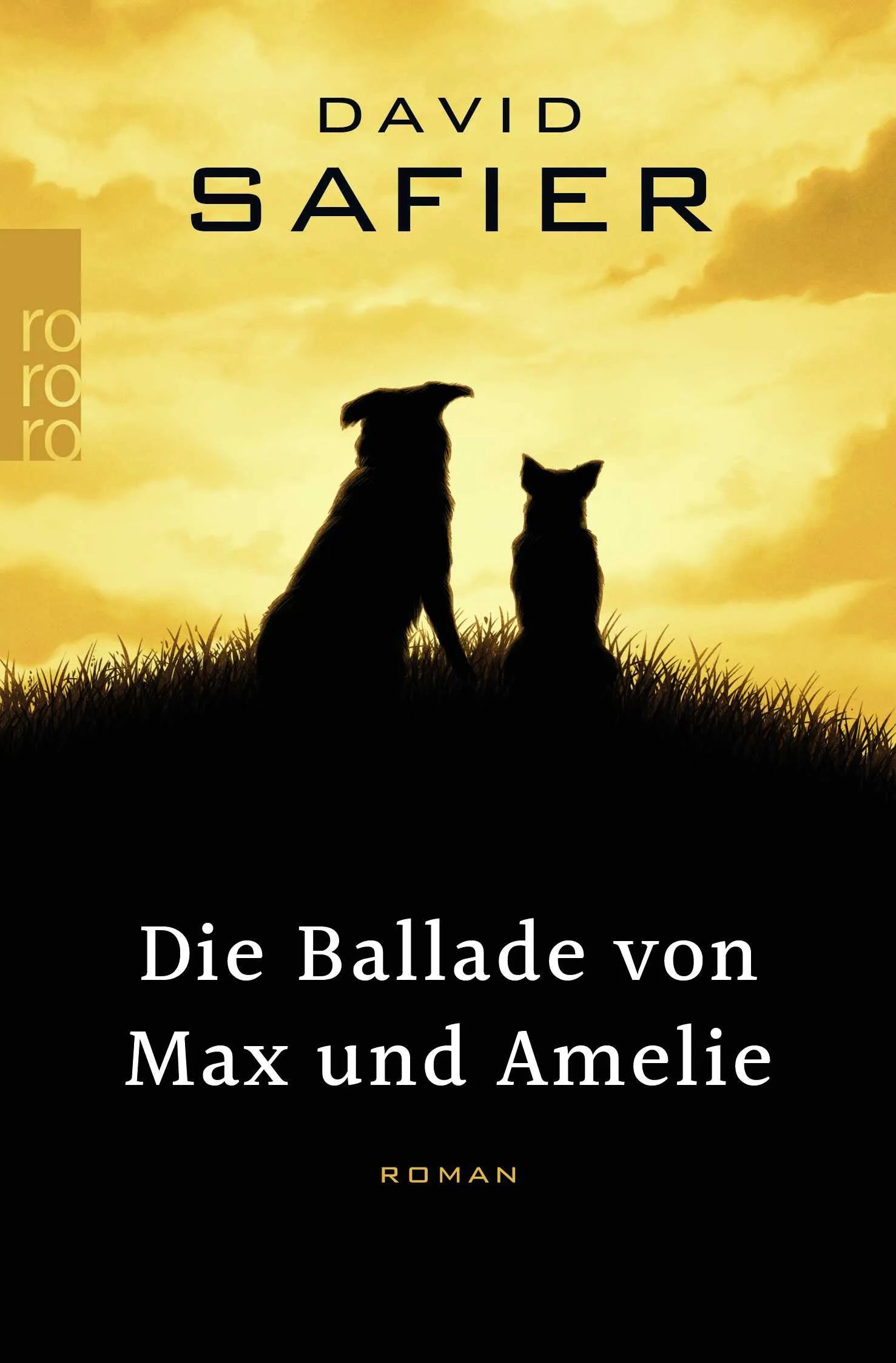 Buchcover von 'Die Ballade von Max und Amelie' - Taschenbuch von David Safier
