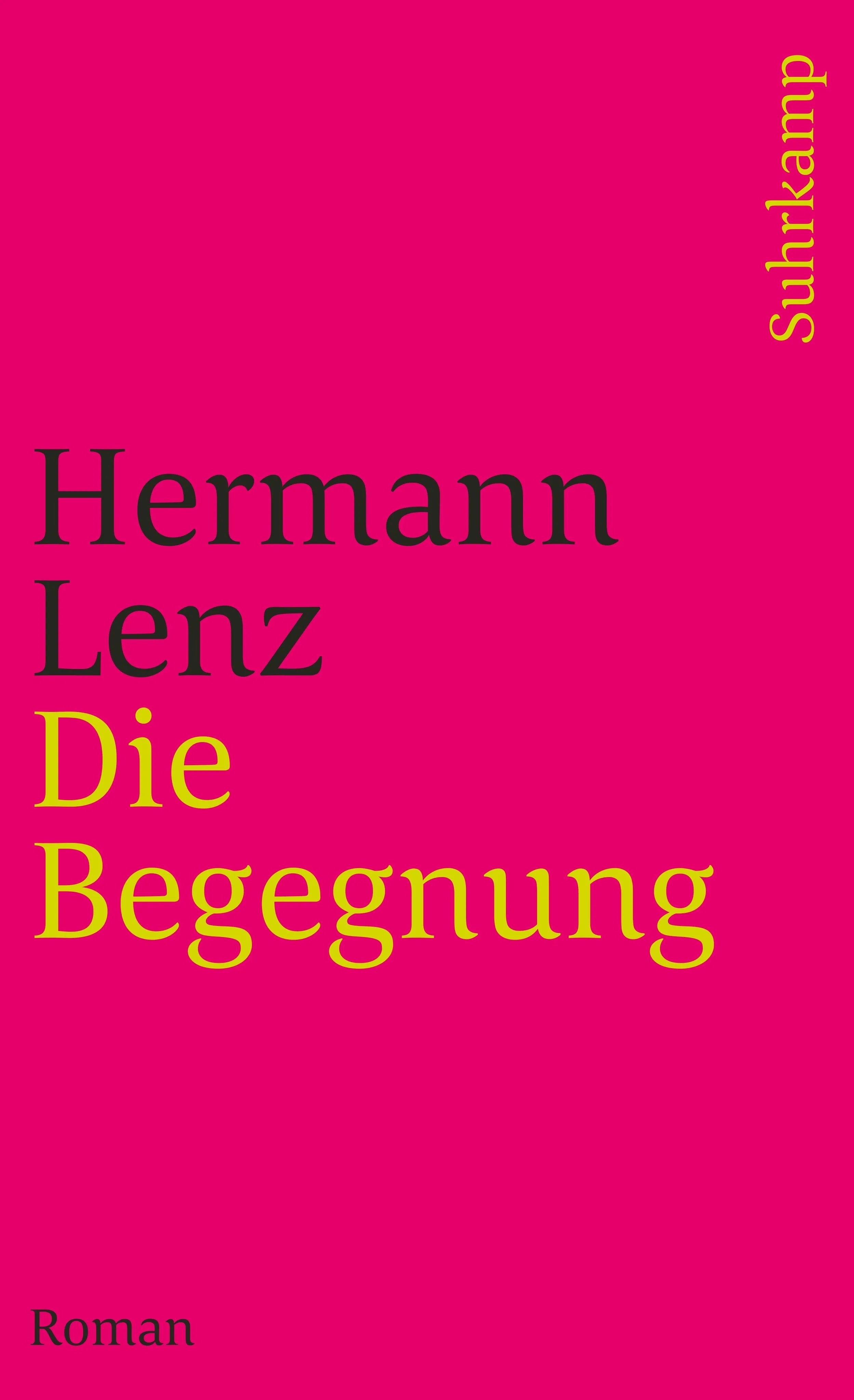 Buchcover von 'Die Begegnung' - Taschenbuch von Hermann Lenz