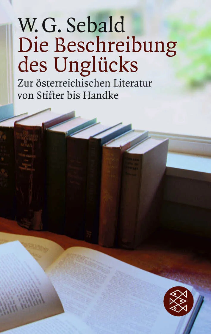 Buchcover von 'Die Beschreibung des Unglücks' - Taschenbuch von W.G. Sebald