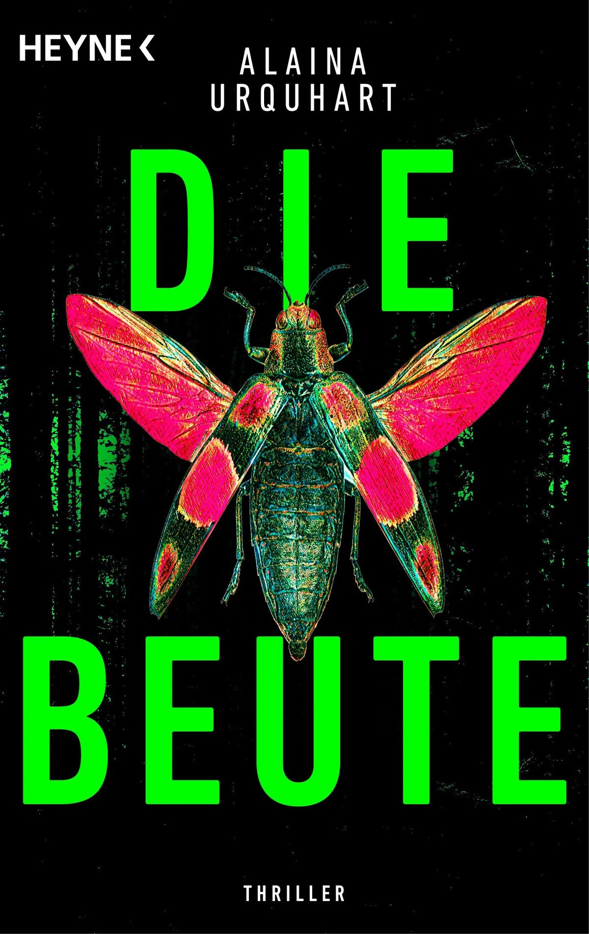 Cover: Die Beute (Taschenbuch) von Alaina Urquhart