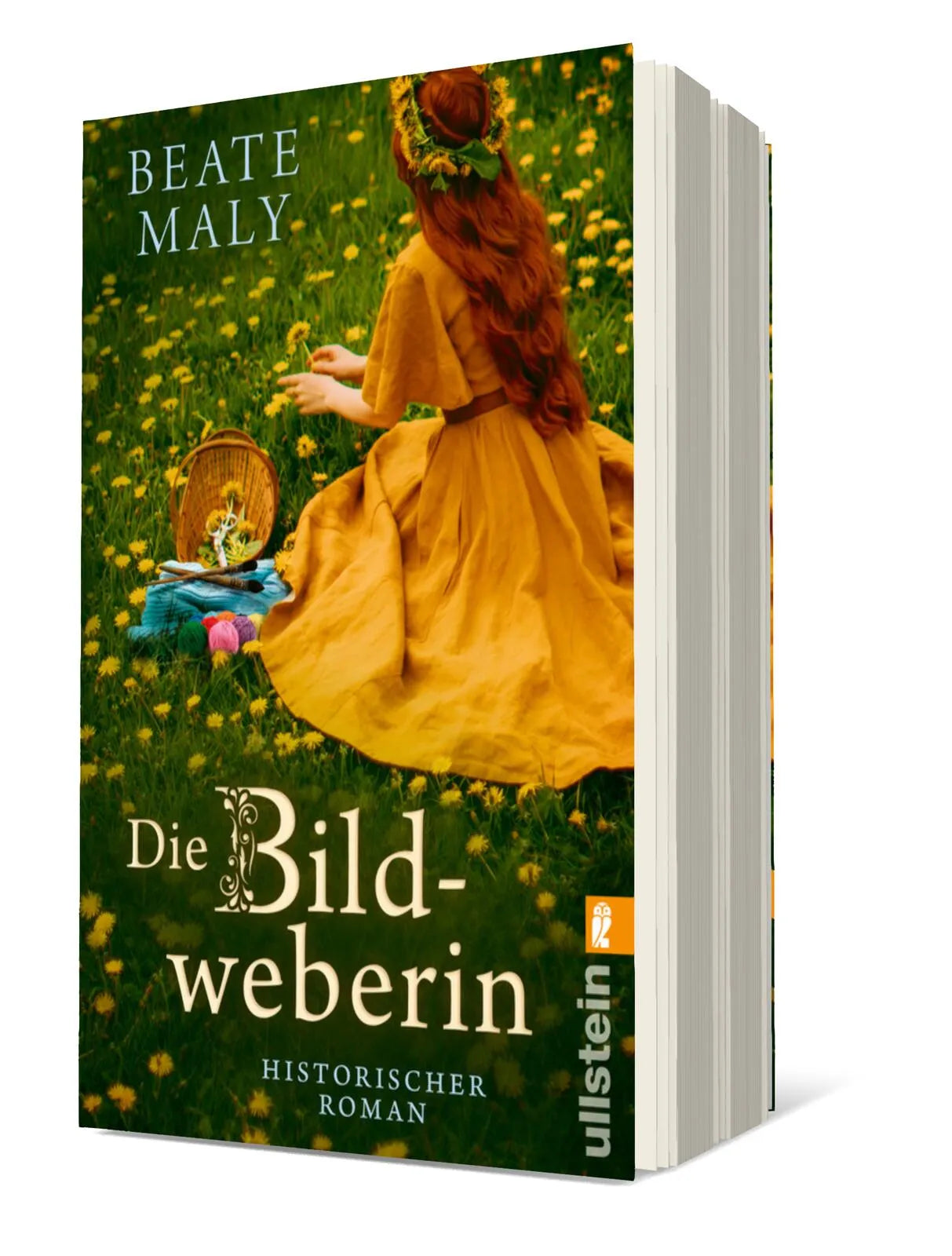 Buchcover von 'Die Bildweberin' - Taschenbuch von Beate Maly