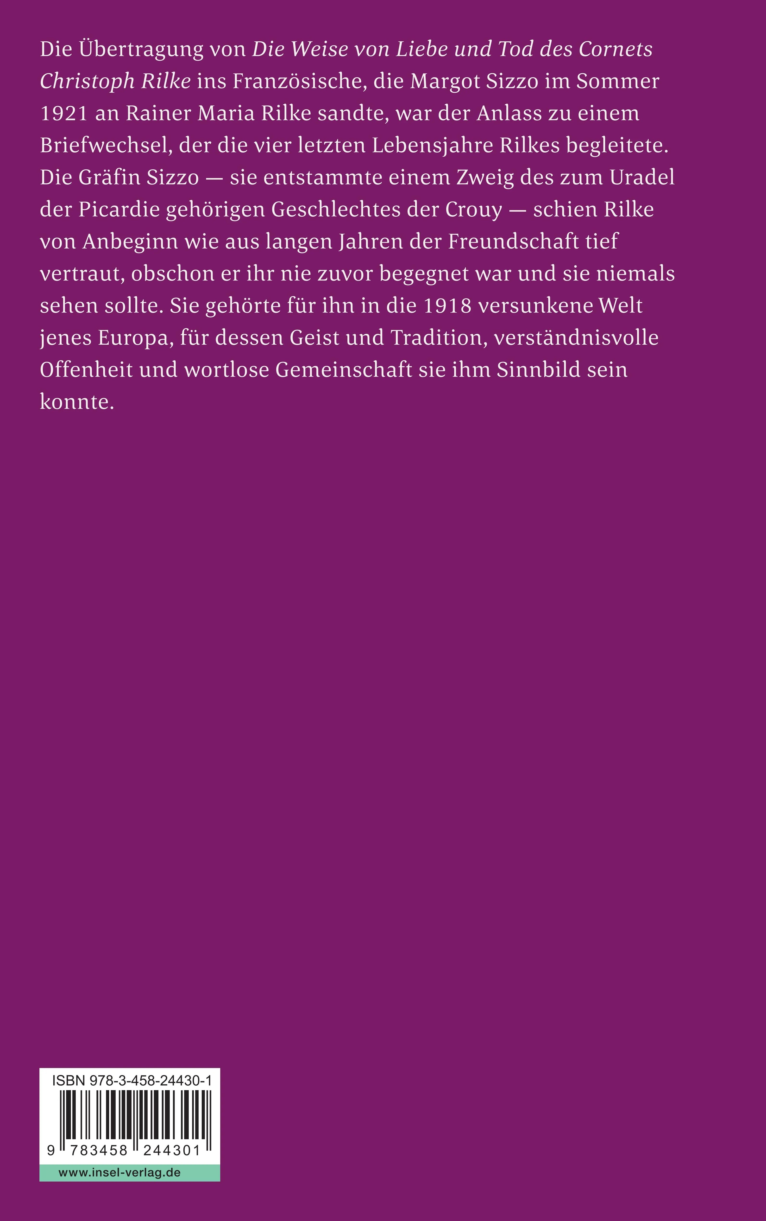 Buchrückseite von 'Die Briefe an Gräfin Sizzo' mit Klappentext - Taschenbuch