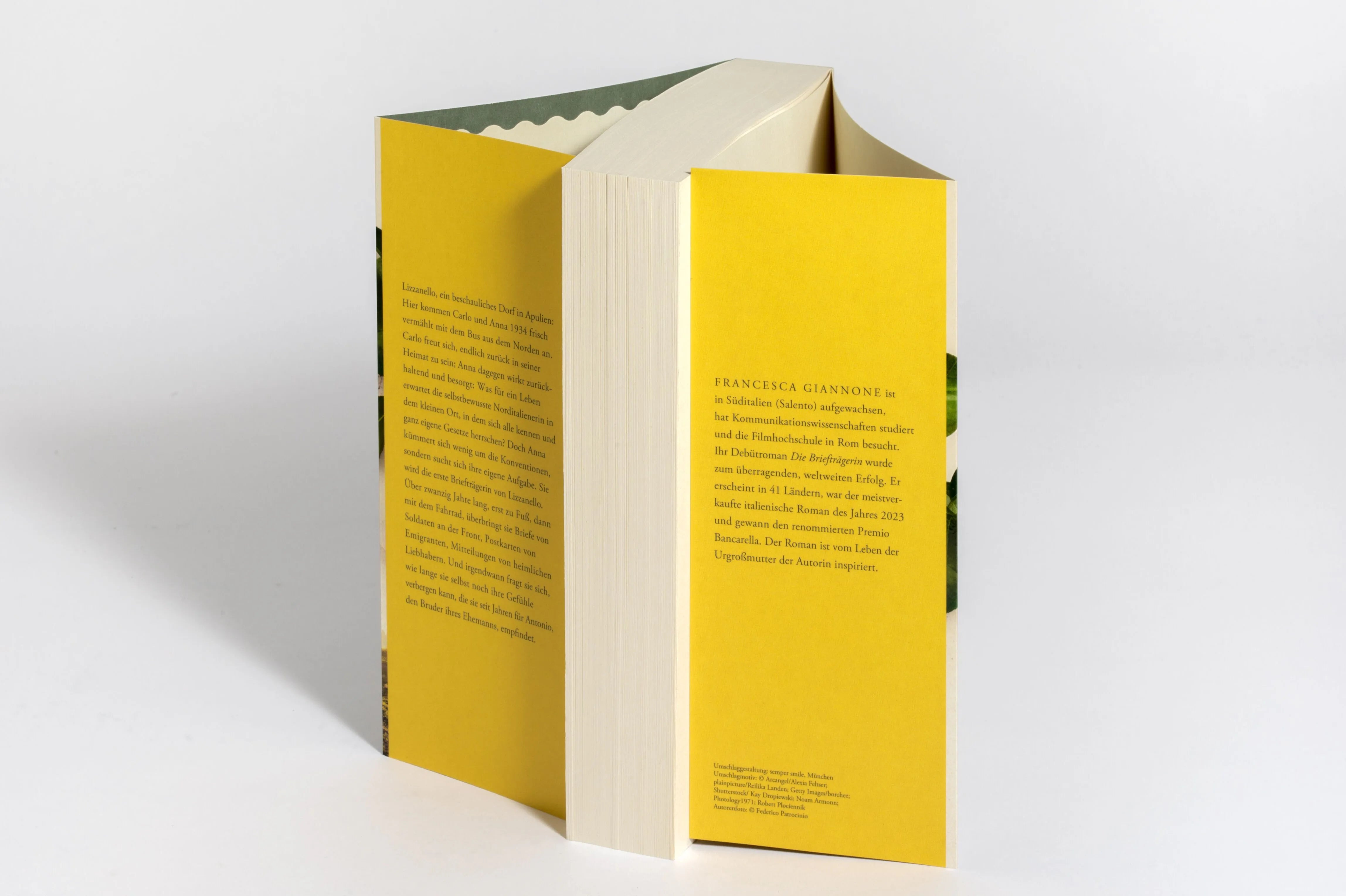 Detailansicht: Die Briefträgerin (Paperback)
