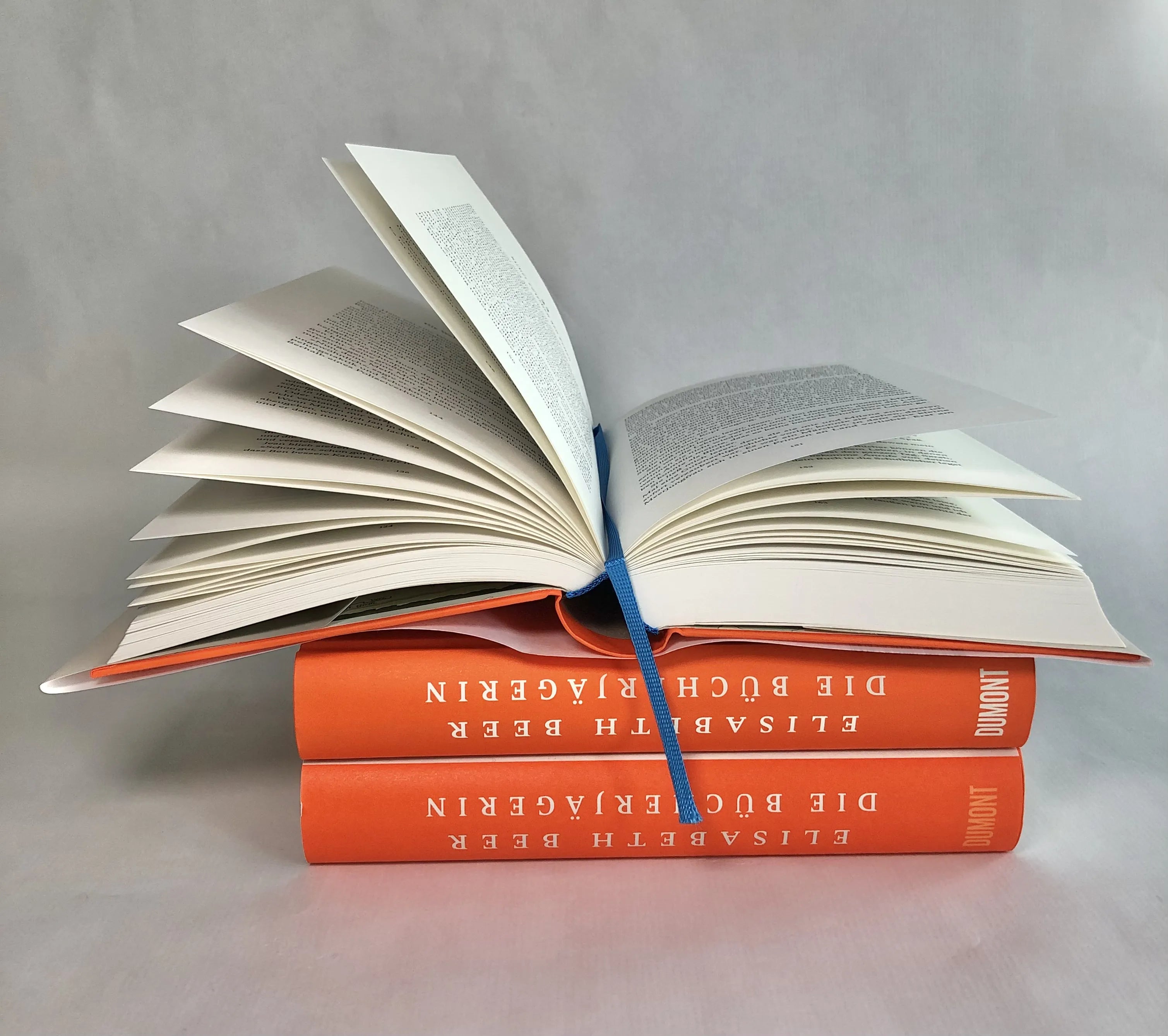 Produktansicht: Die Bücherjägerin (Gebundene Ausgabe)