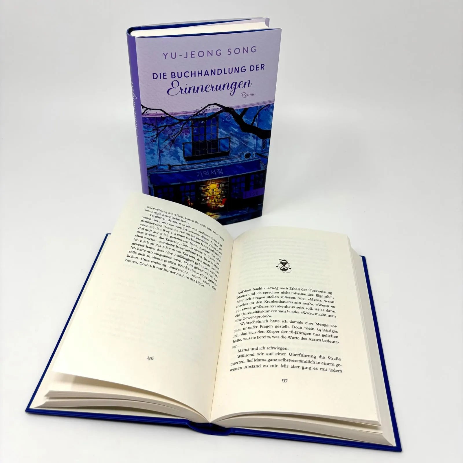 Detailansicht: Die Buchhandlung der Erinnerungen (Hardcover)