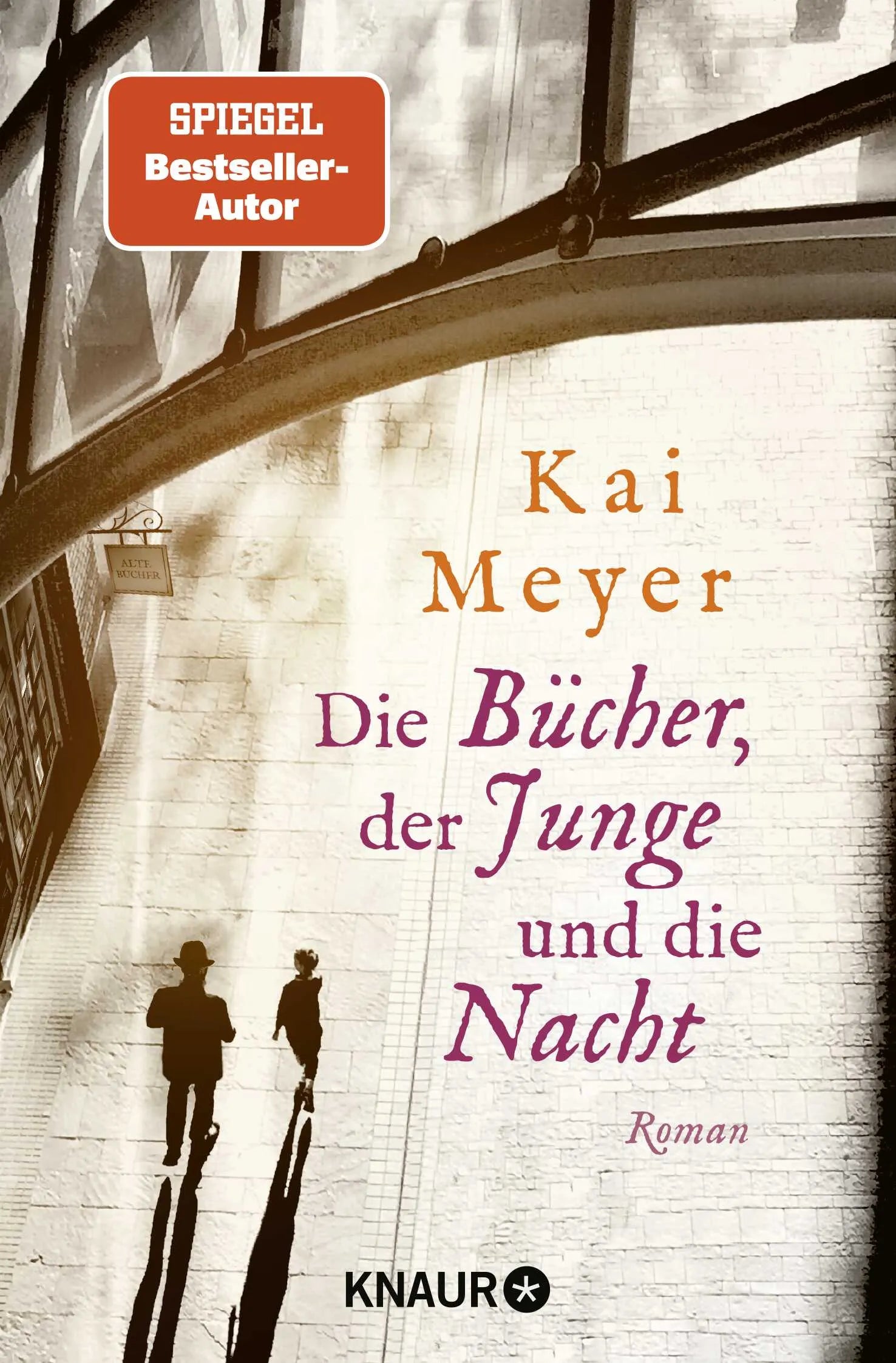 Buchcover von 'Die Bücher, der Junge und die Nacht' - Taschenbuch von Kai Meyer