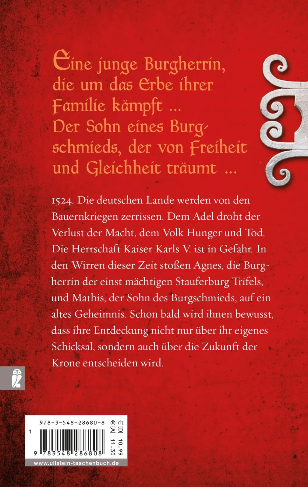 Buchrückseite von 'Die Burg der Könige' mit Klappentext - Taschenbuch
