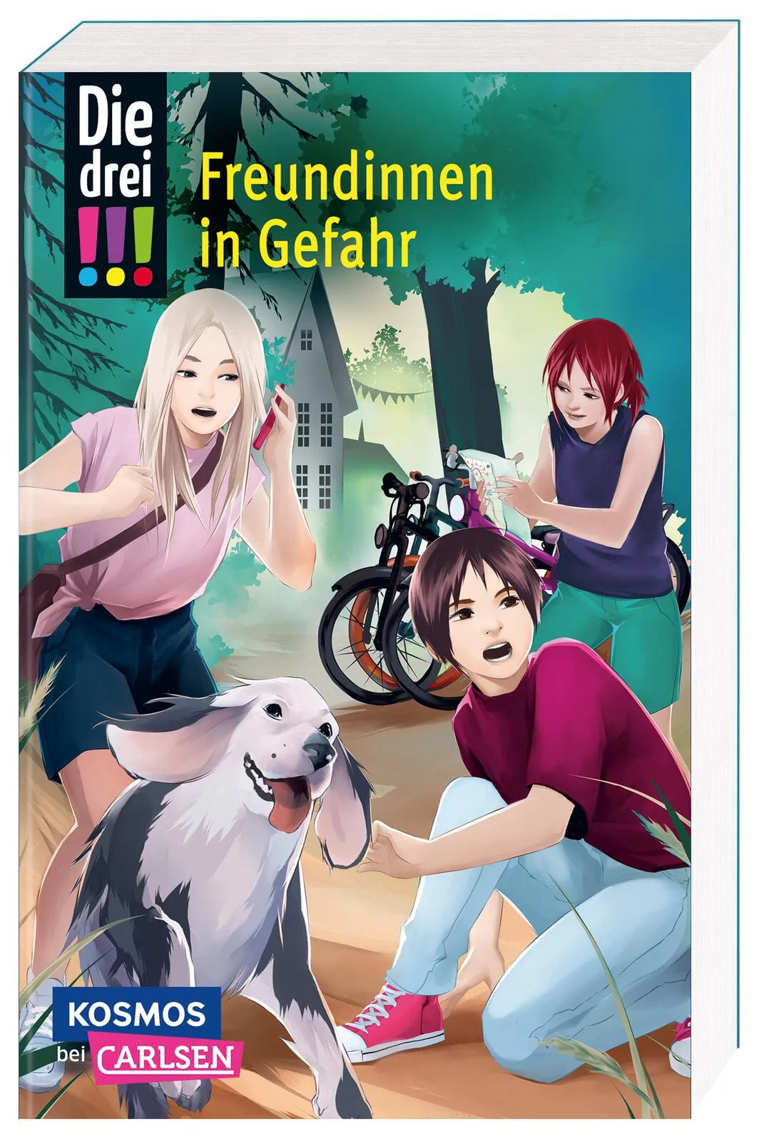 Buchcover von 'Die drei !!! 50: Freundinnen in Gefahr' - Taschenbuch von Maja von Vogel
