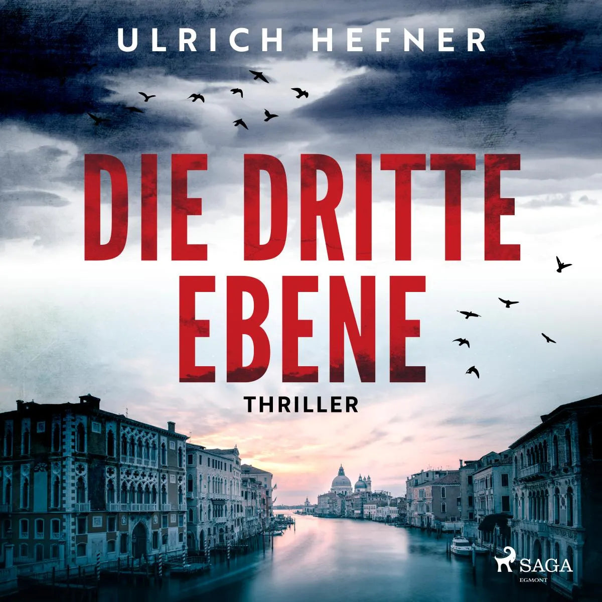 Cover: Die dritte Ebene (Hörbuch Download) von Ulrich Hefner