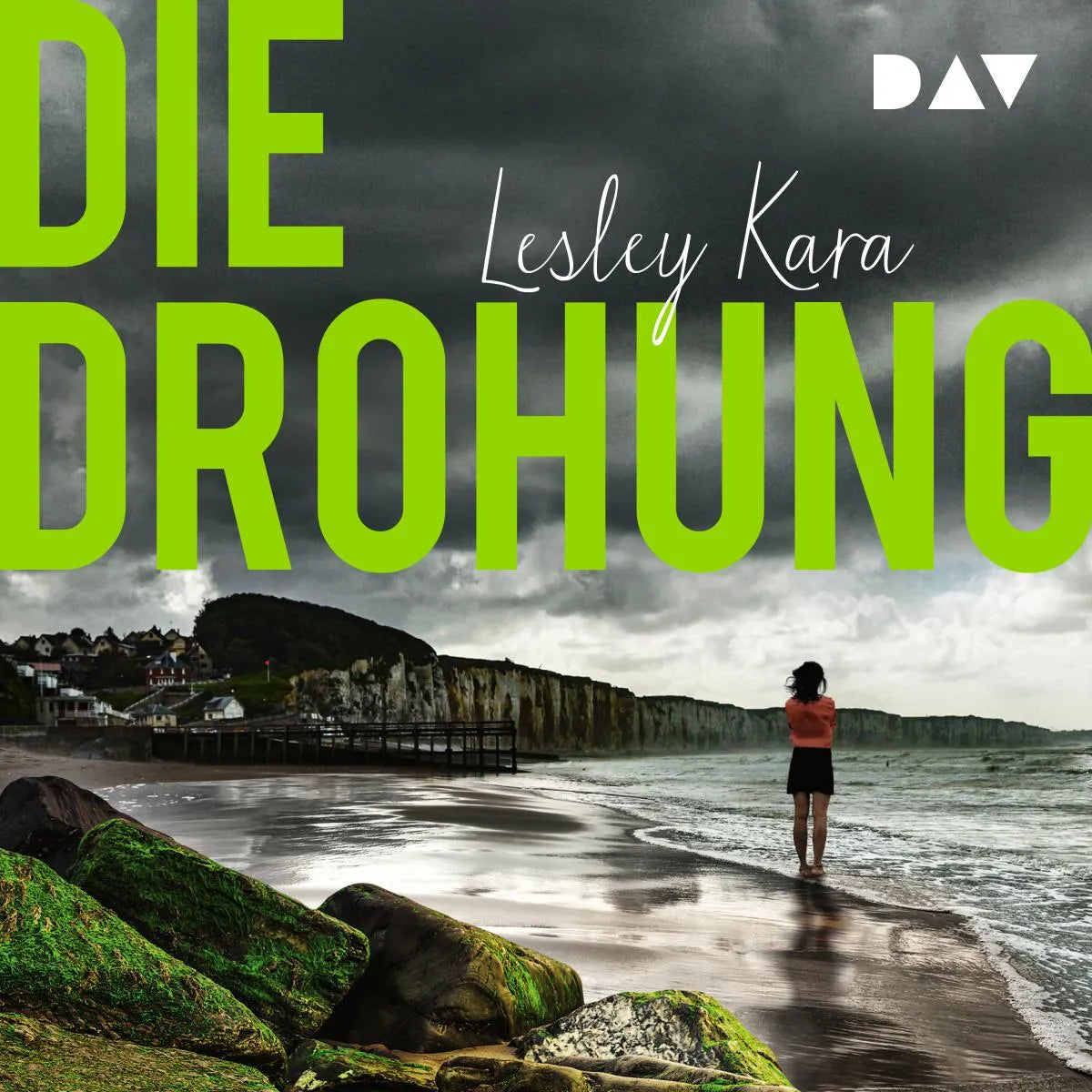 Cover: Die Drohung (Hörbuch Download) von Lesley Kara