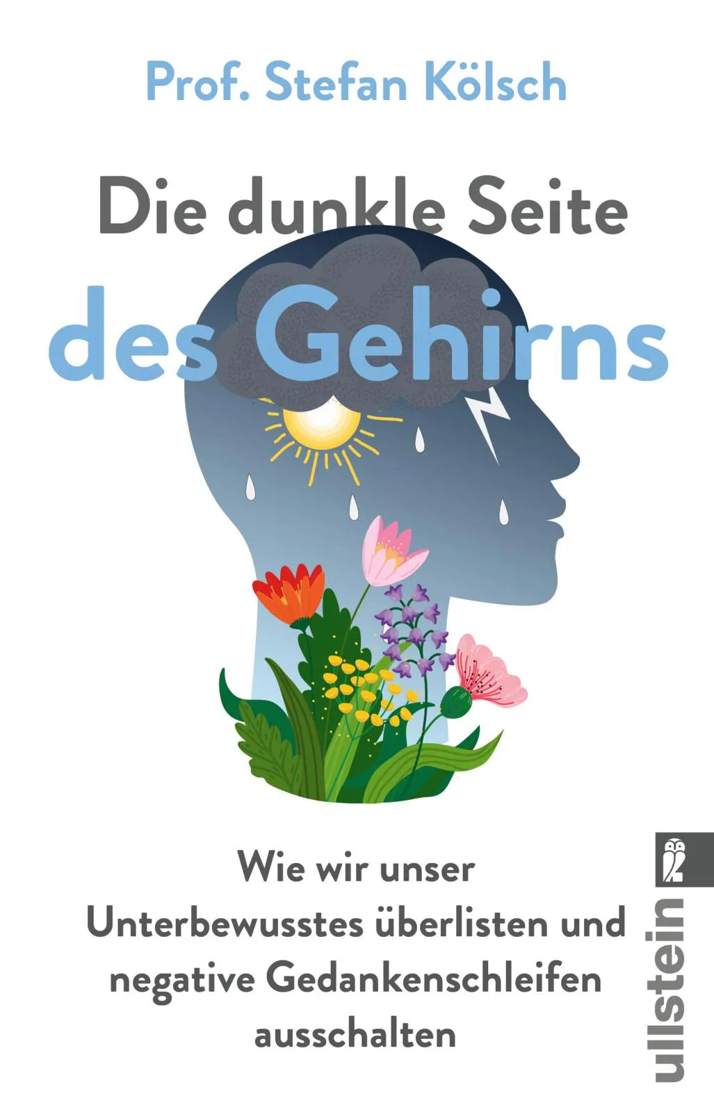 Buchcover von 'Die dunkle Seite des Gehirns' - Taschenbuch von Stefan Kölsch