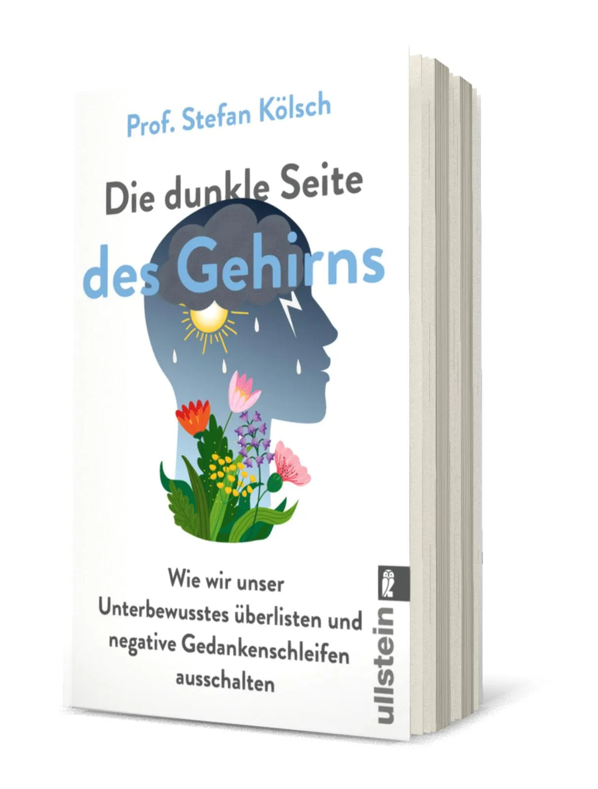 Produktansicht: Die dunkle Seite des Gehirns (Taschenbuch)