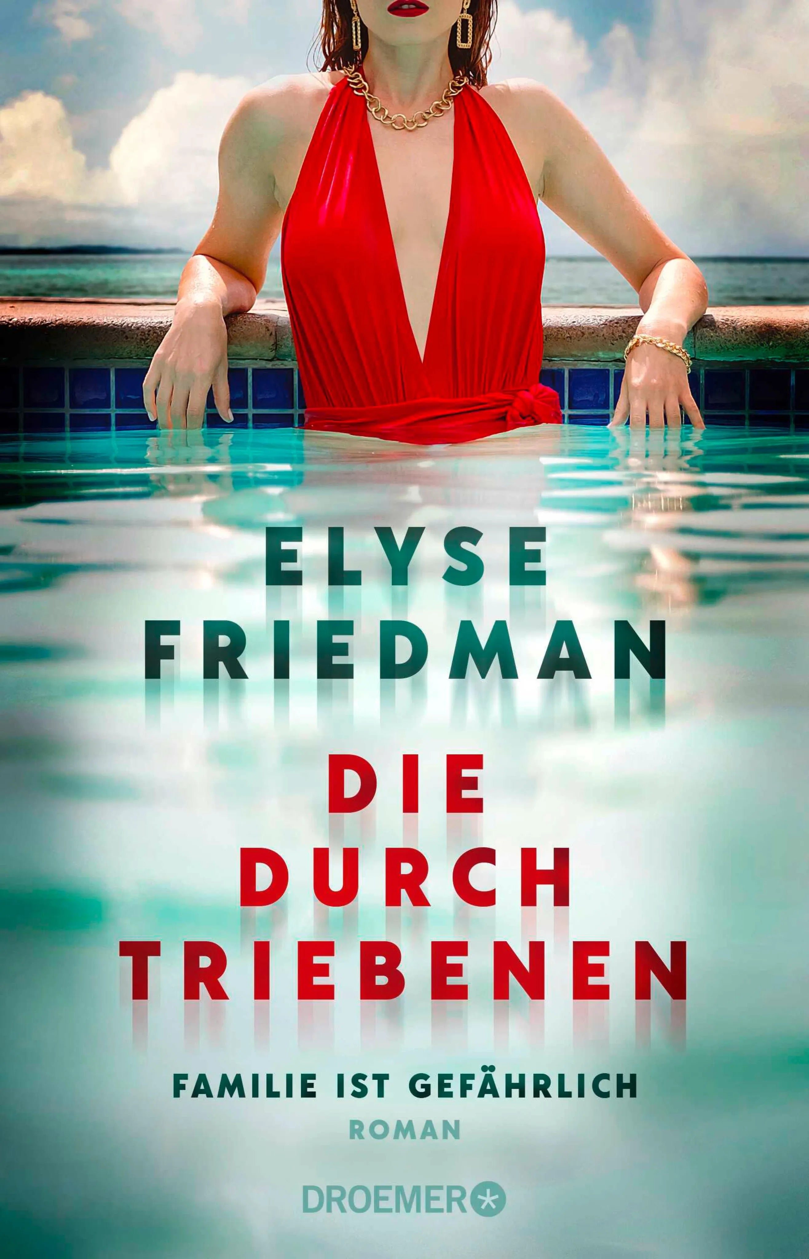 Cover: Die Durchtriebenen (E-Book) von Elyse Friedman