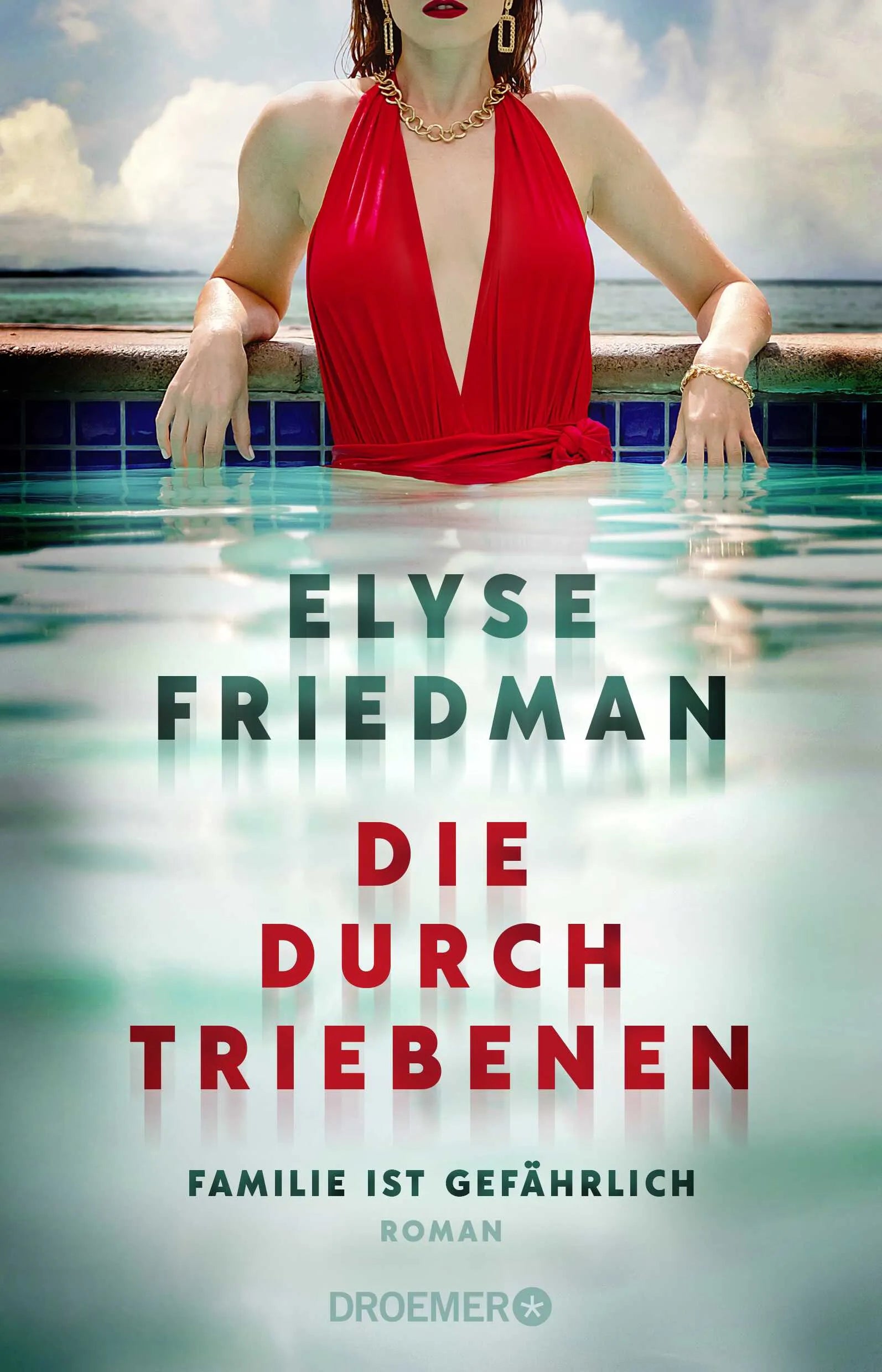 Buchcover von 'Die Durchtriebenen' - Paperback von Elyse Friedman