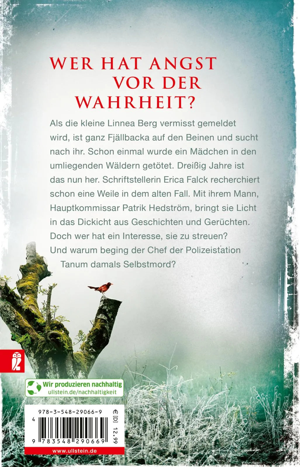 Buchrückseite von 'Die Eishexe' mit Klappentext - Taschenbuch