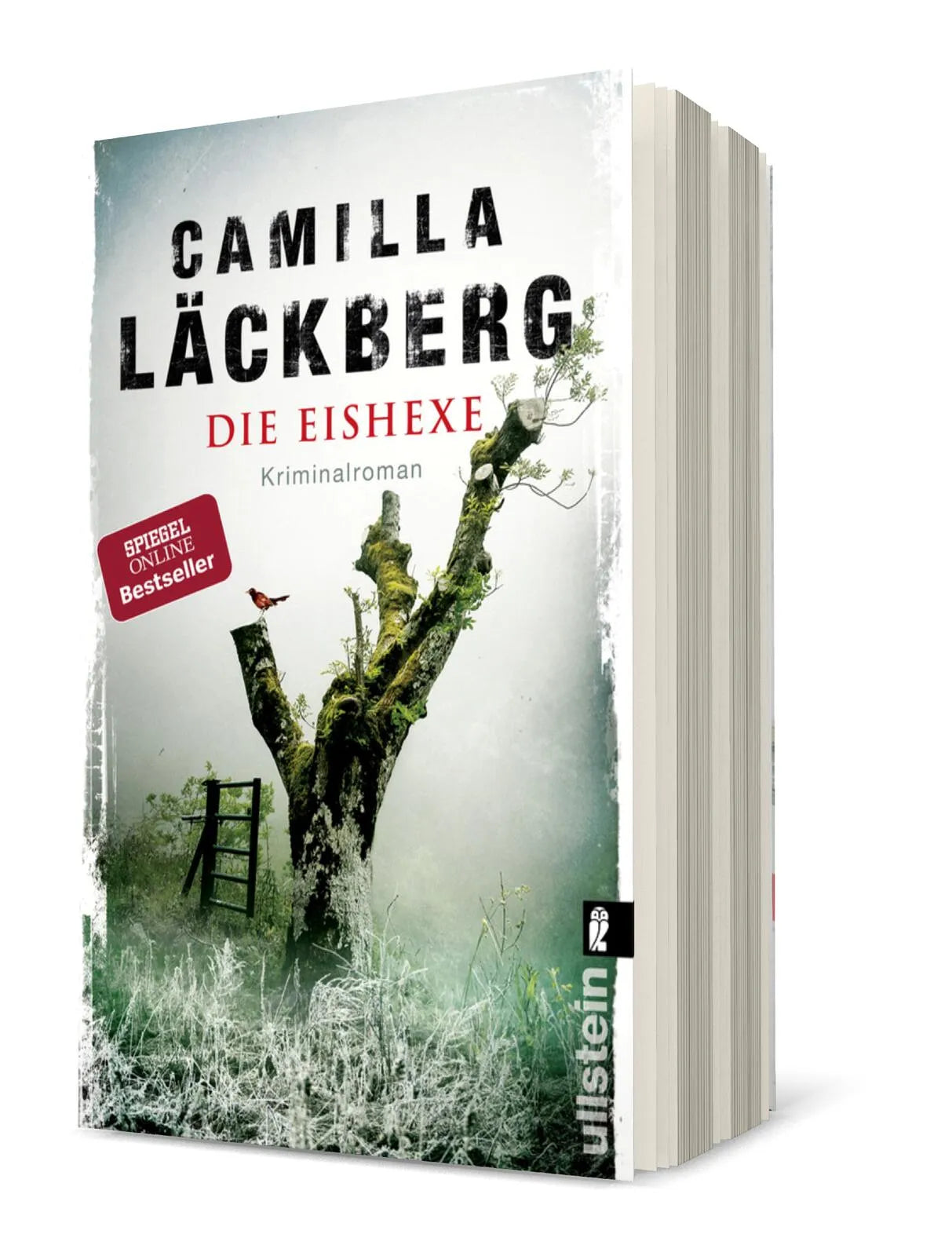 Buchcover von 'Die Eishexe' - Taschenbuch von Camilla Läckberg