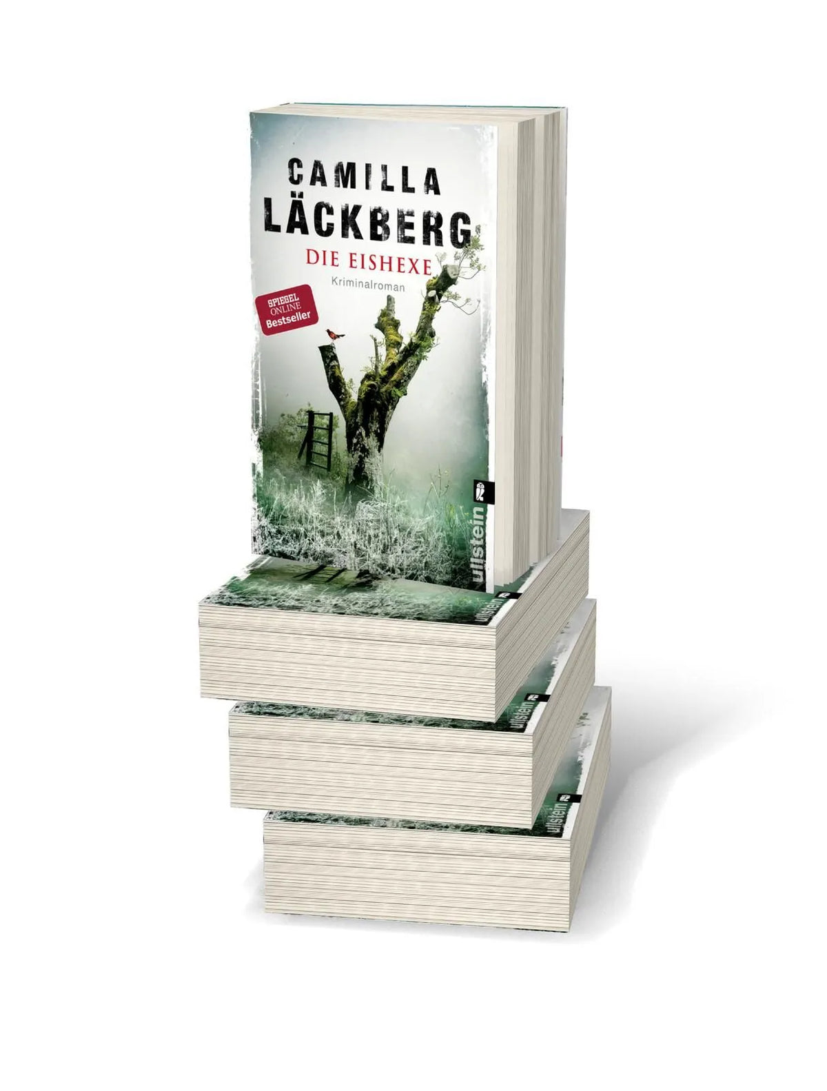 Detailansicht: Die Eishexe (Taschenbuch)
