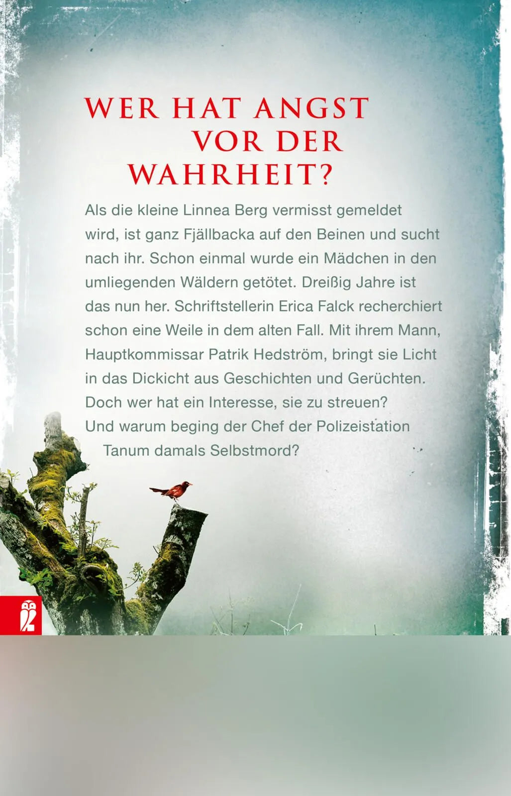 Rückseite: Die Eishexe (Taschenbuch)