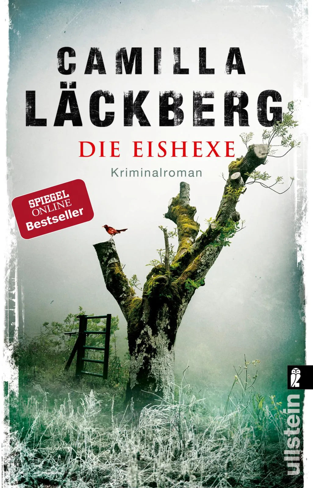 Produktansicht: Die Eishexe (Taschenbuch)