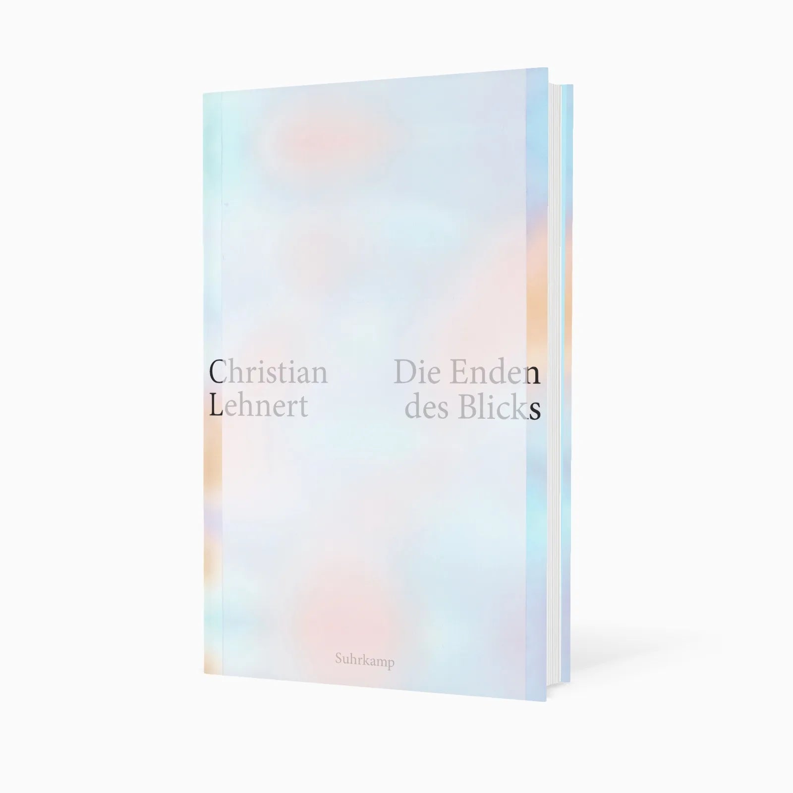 Detailansicht: Die Enden des Blicks (Hardcover)