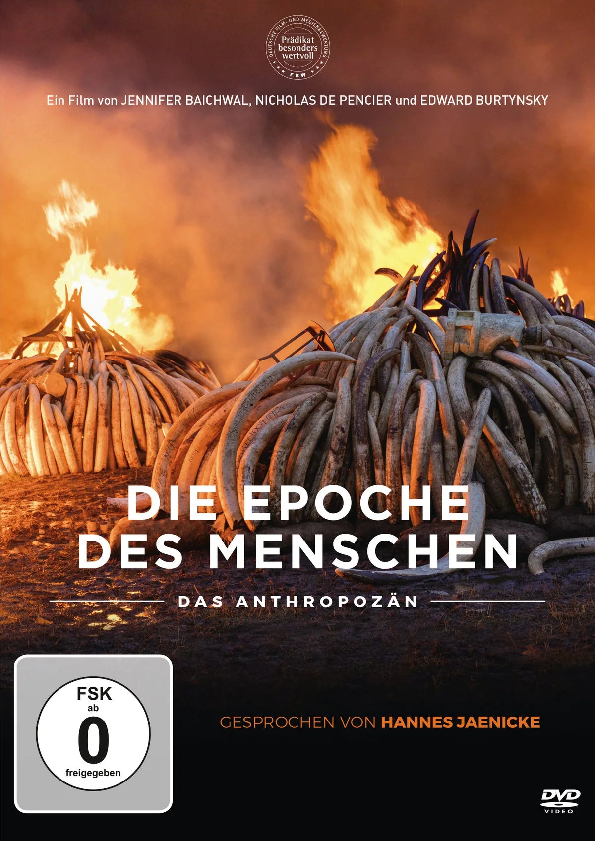 Die Epoche Des Menschen - DVD