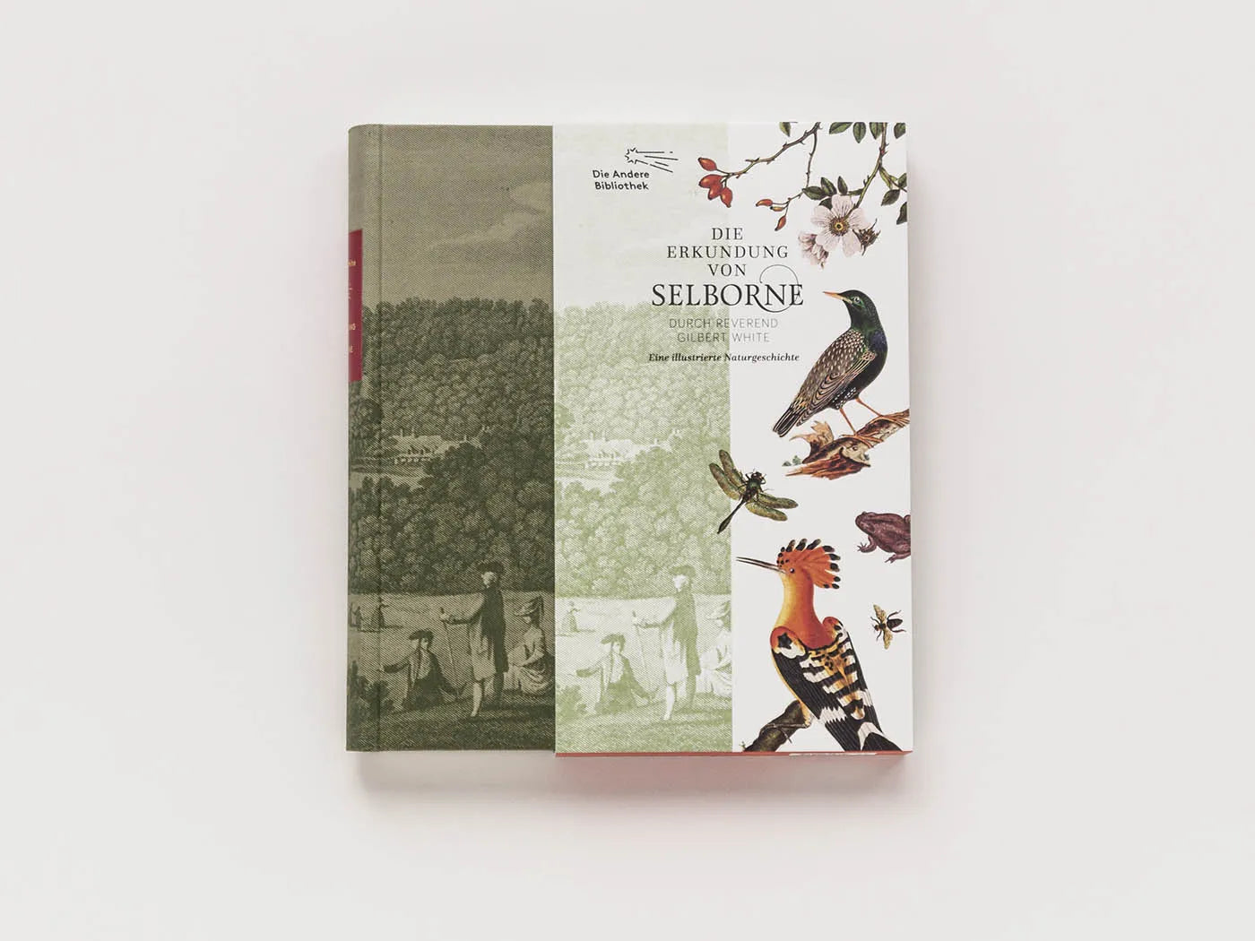 Innenansicht von 'Die Erkundung von Selborne durch Reverend Gilbert White' - Gebundene Ausgabe
