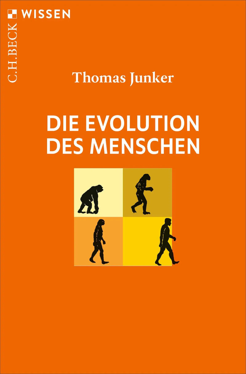 Die Evolution des Menschen