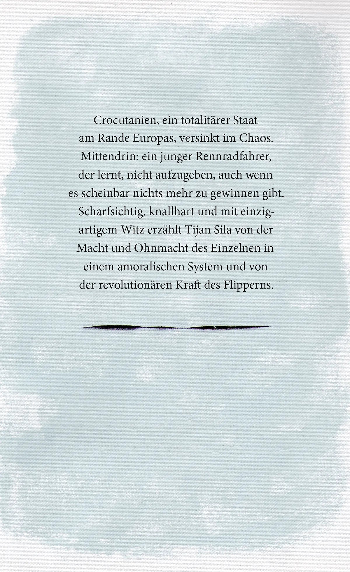 Buchrückseite von 'Die Fahne der Wünsche' mit Klappentext - Gebundene Ausgabe