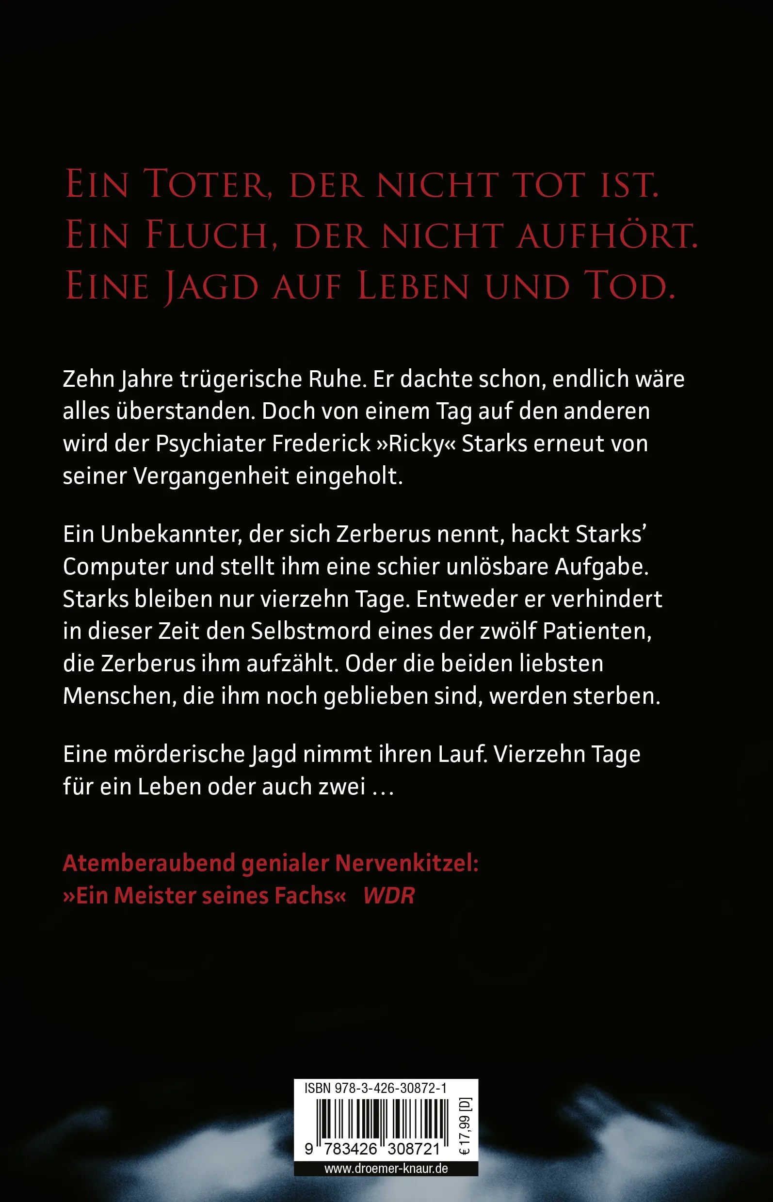 Buchrückseite von 'Die Familie' mit Klappentext - Paperback