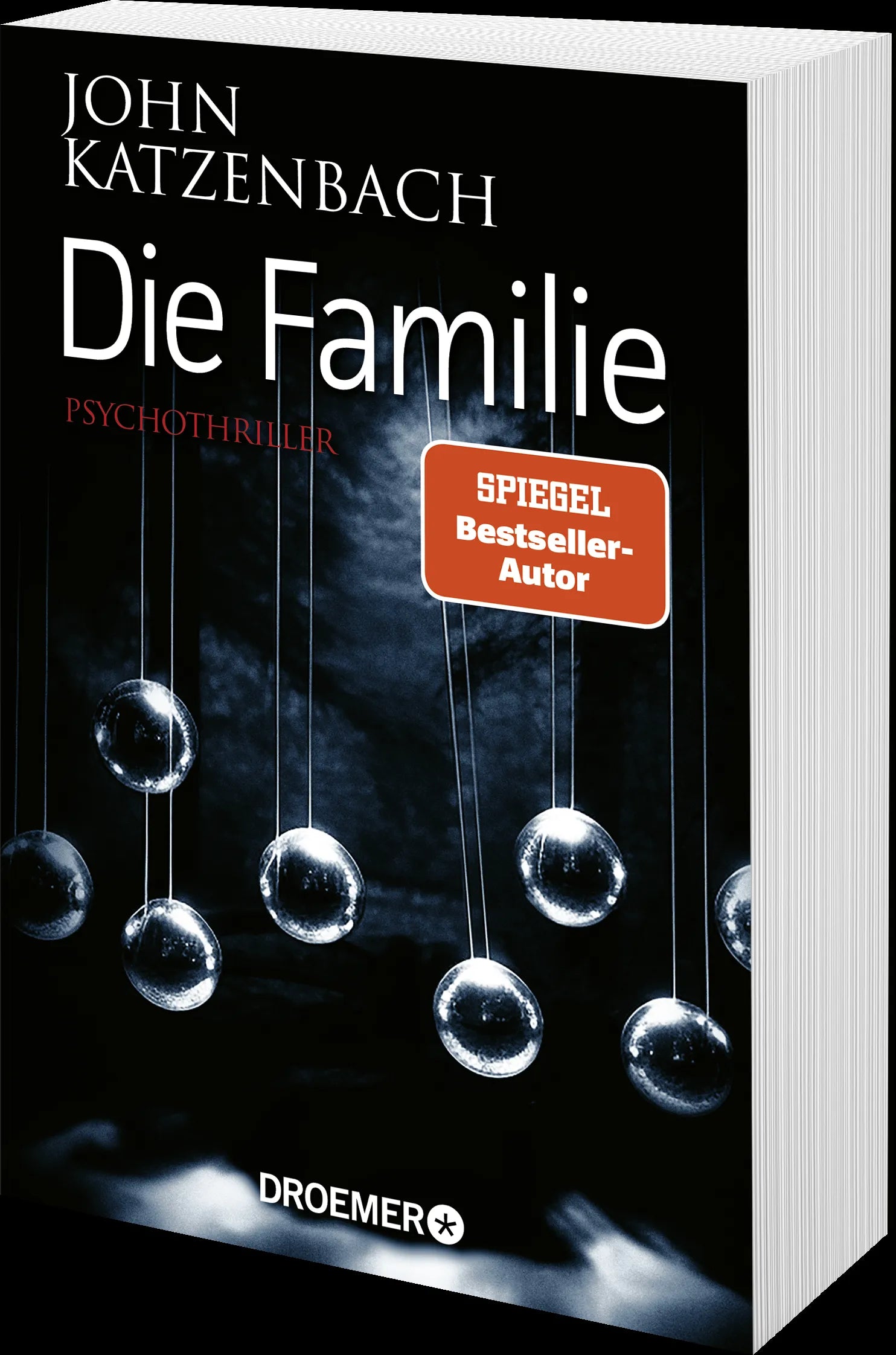 Detailansicht: Die Familie (Taschenbuch)