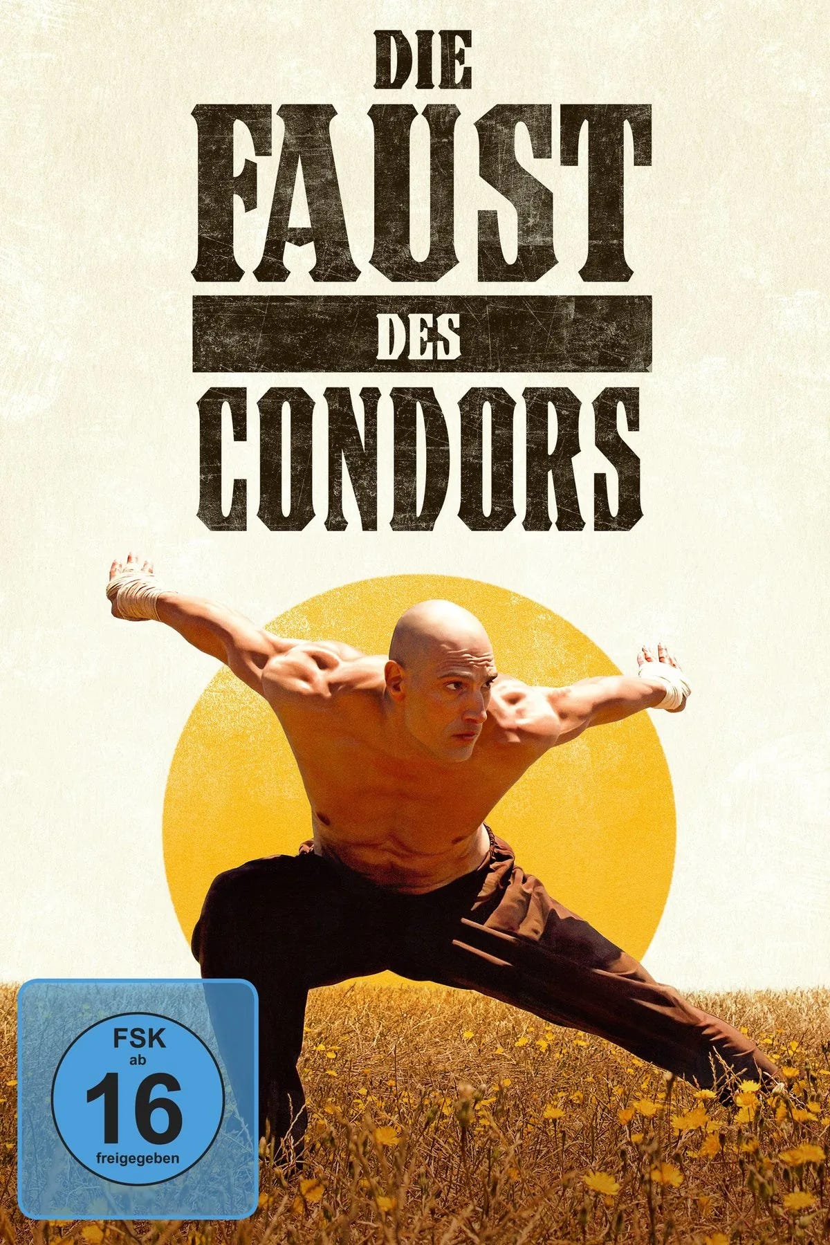Die Faust des Condors - DVD