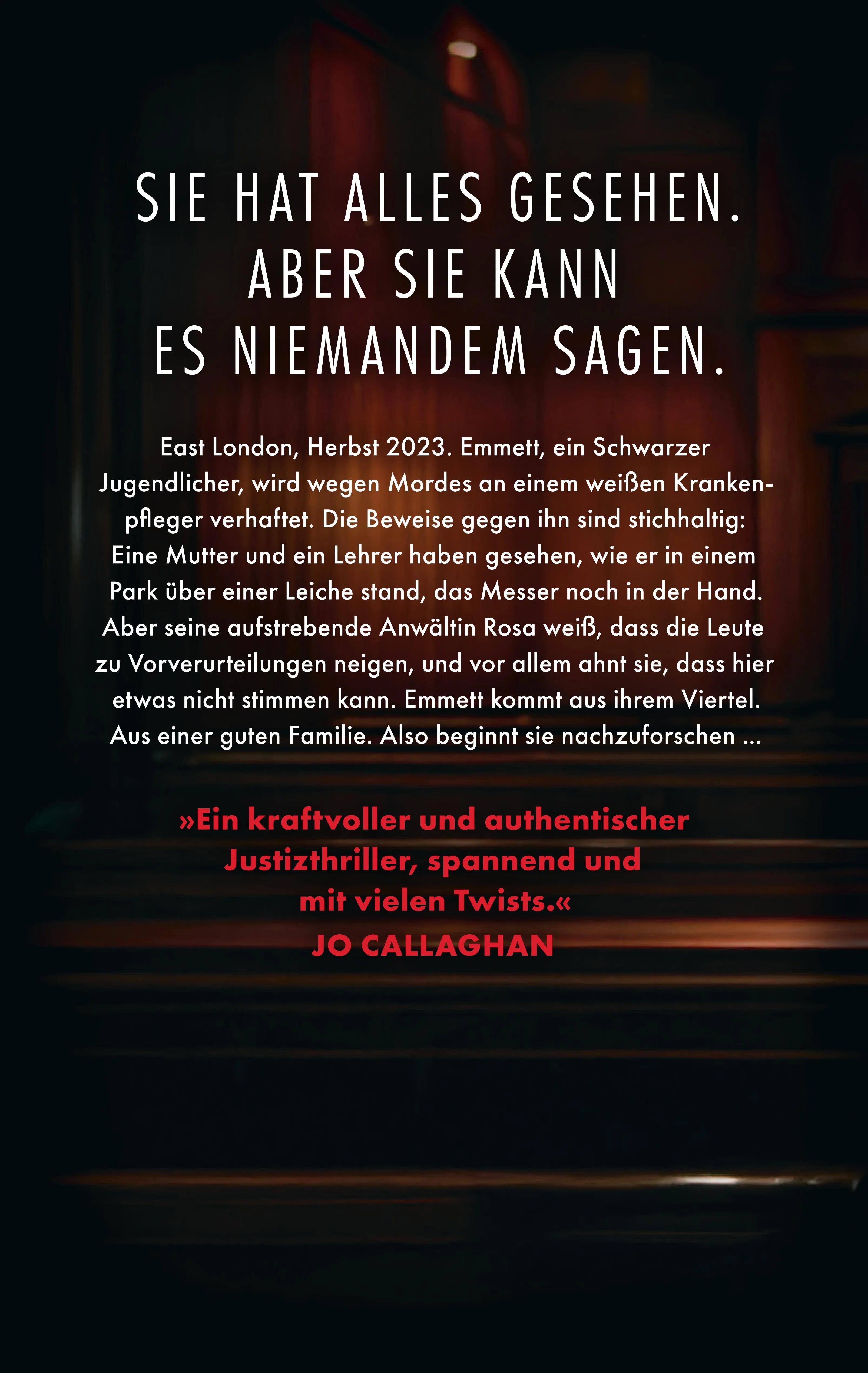 Buchrückseite von 'Die feindliche Zeugin' mit Klappentext - Paperback