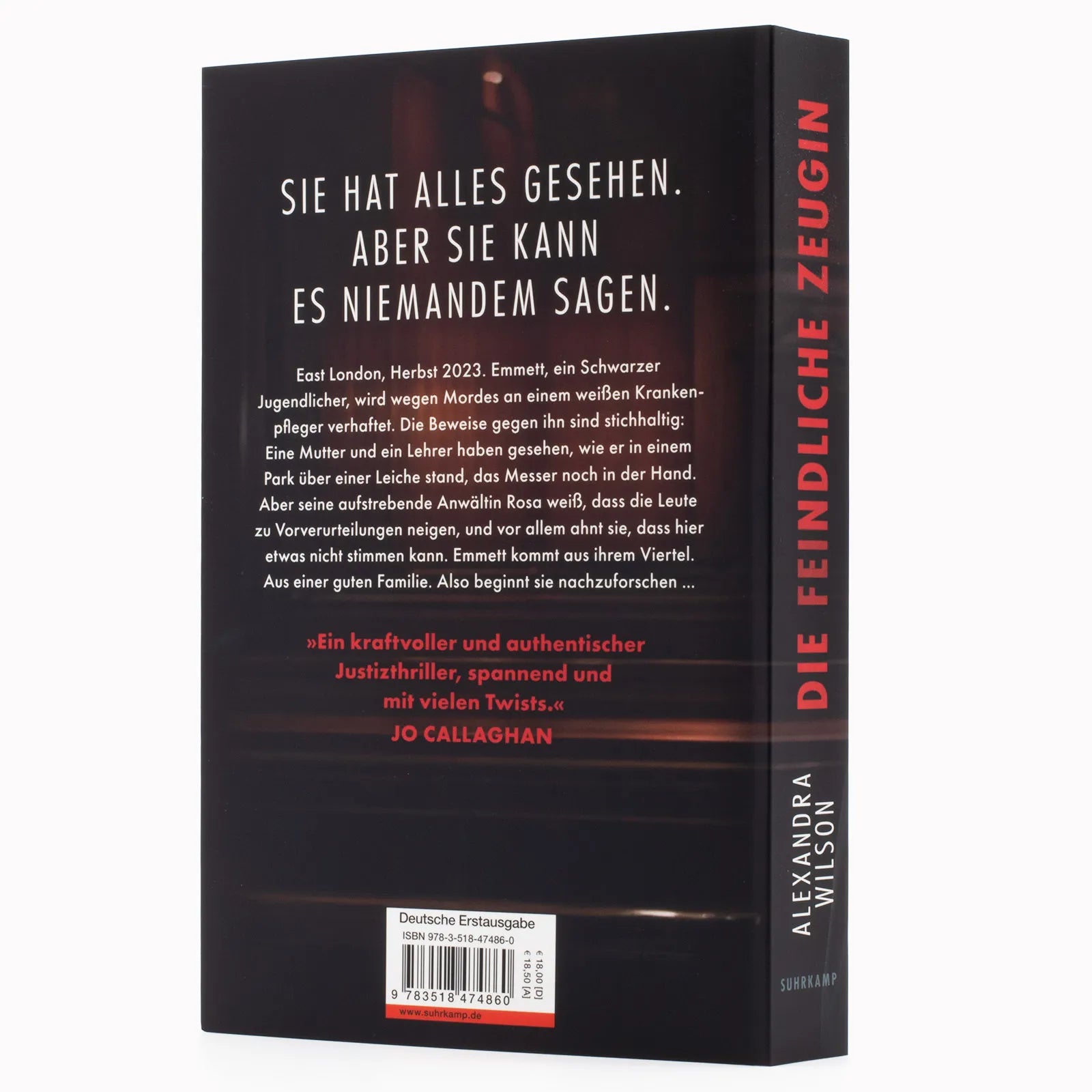 Abbildung von 'Die feindliche Zeugin'