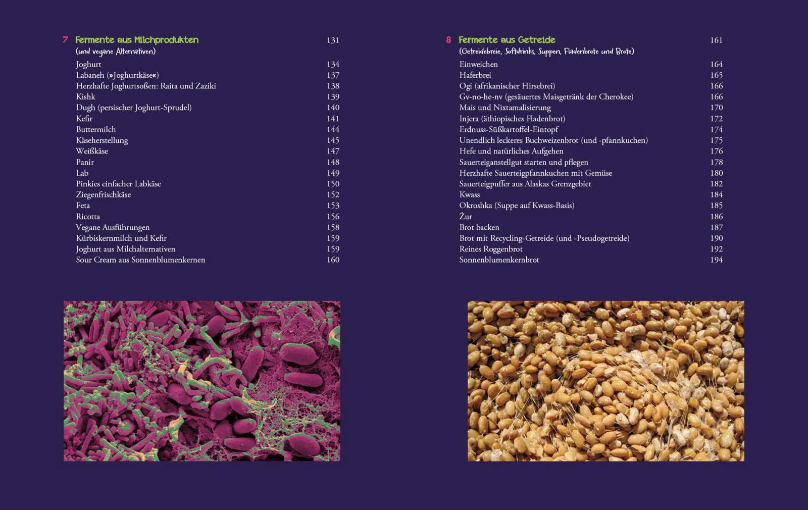 Innenansicht von 'Die Fermentier-Bibel' - Taschenbuch