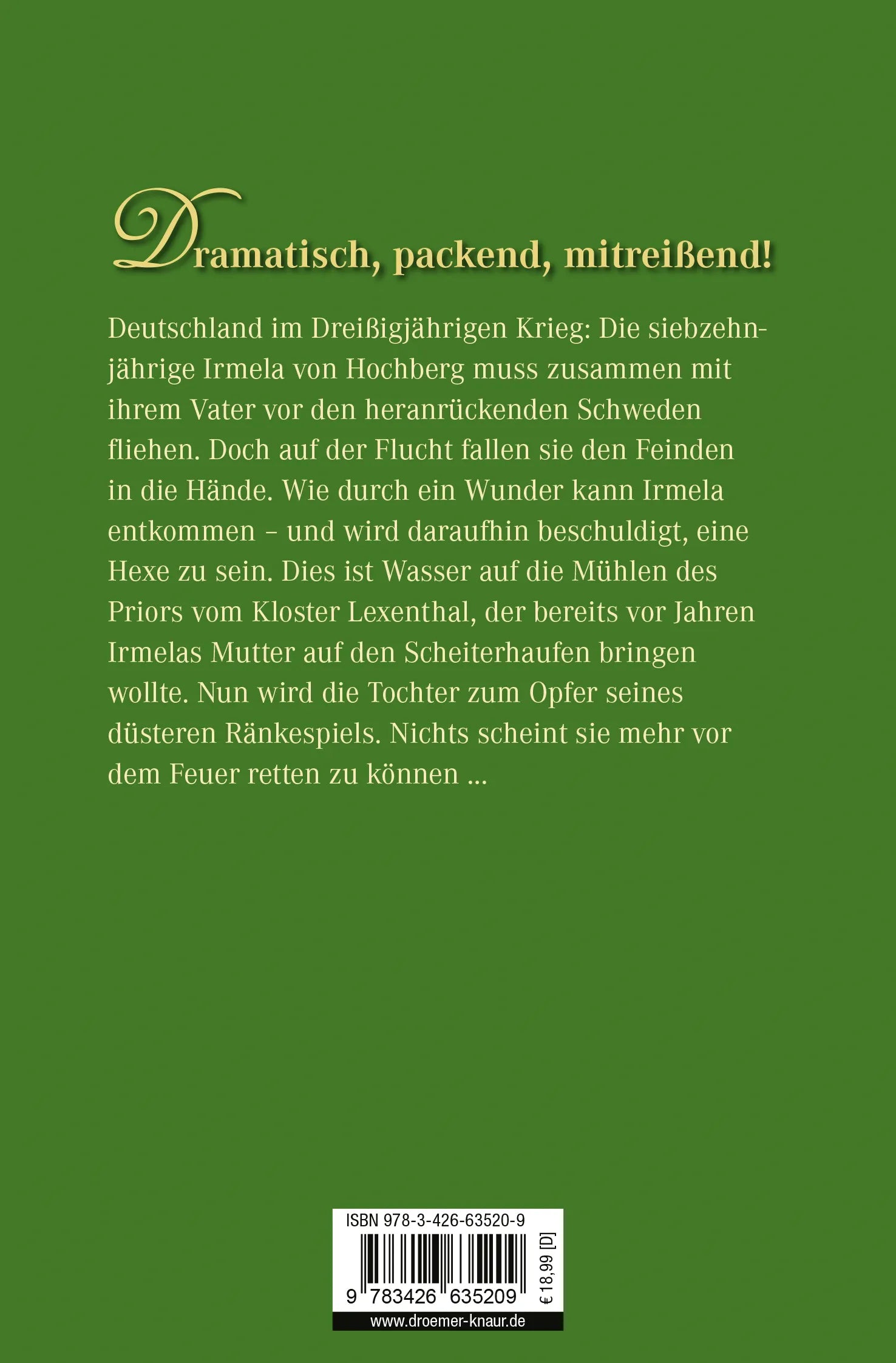 Buchrückseite von 'Die Feuerbraut' mit Klappentext - Taschenbuch