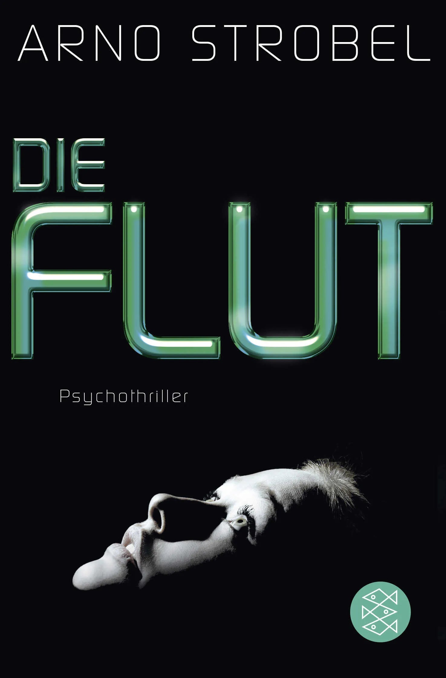 Buchcover von 'Die Flut' - Taschenbuch von Arno Strobel