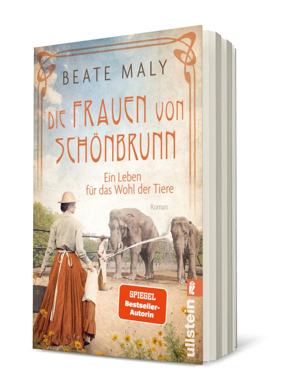 Detailansicht: Die Frauen von Schönbrunn (Taschenbuch)
