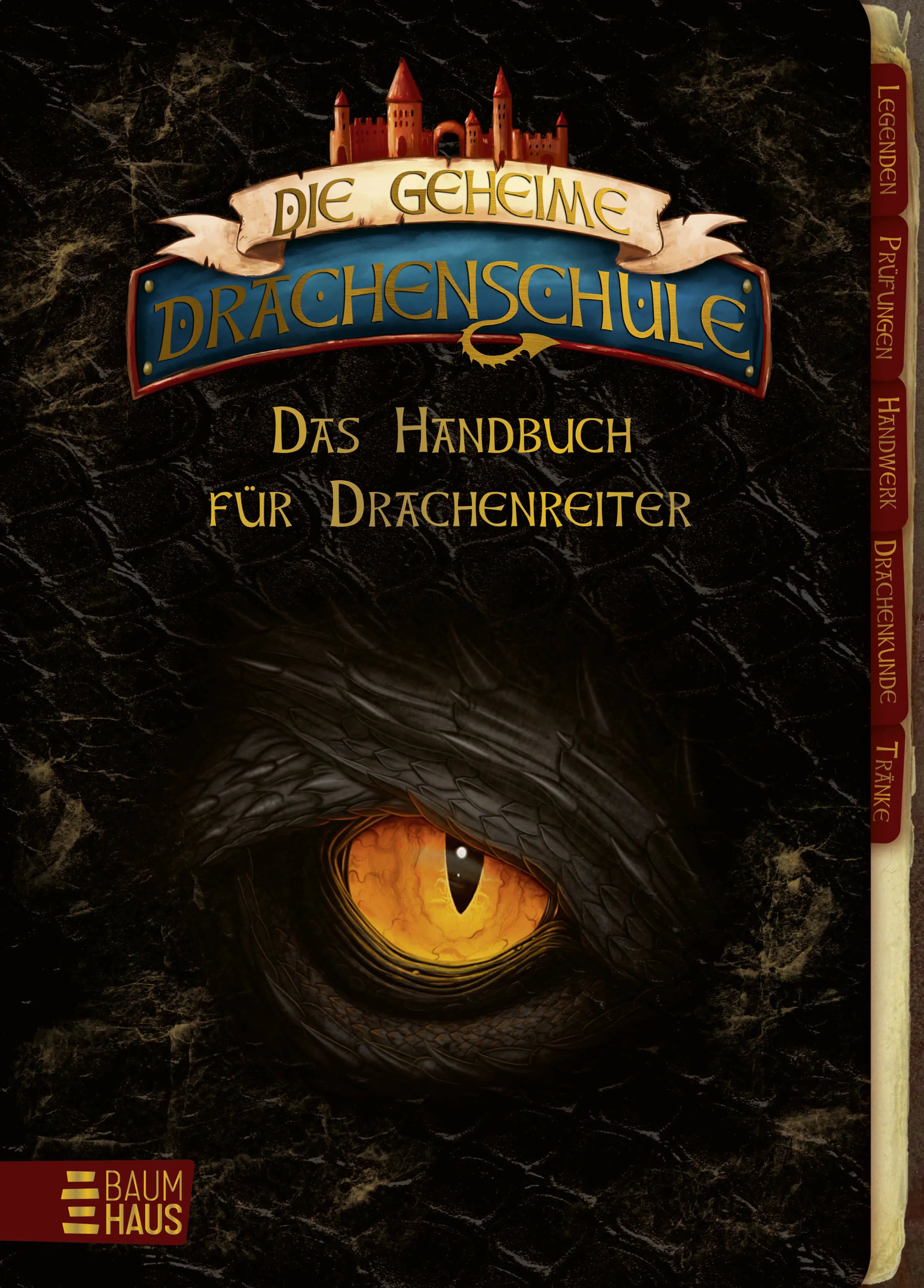 Buchcover von 'Die geheime Drachenschule - Das Handbuch für Drachenreiter' - Gebundene Ausgabe von Emily Skye