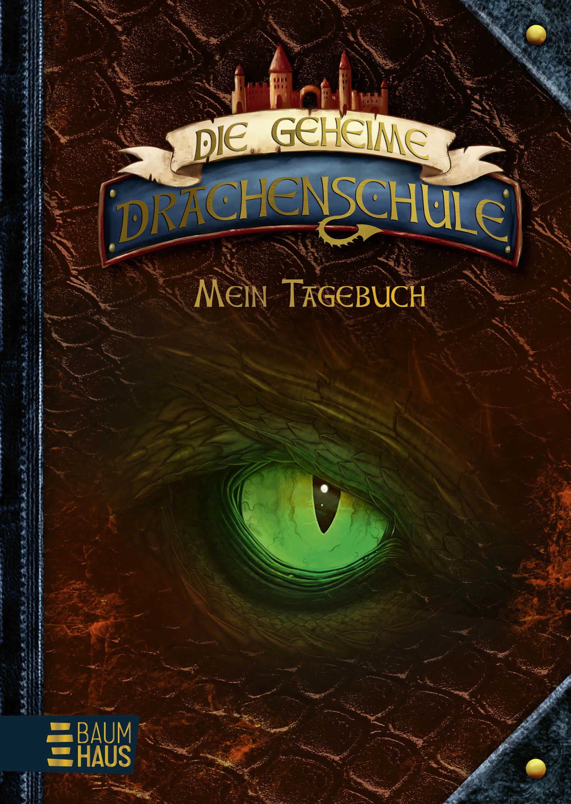 Buchcover von 'Die geheime Drachenschule - Mein Tagebuch' - Gebundene Ausgabe von Emily Skye